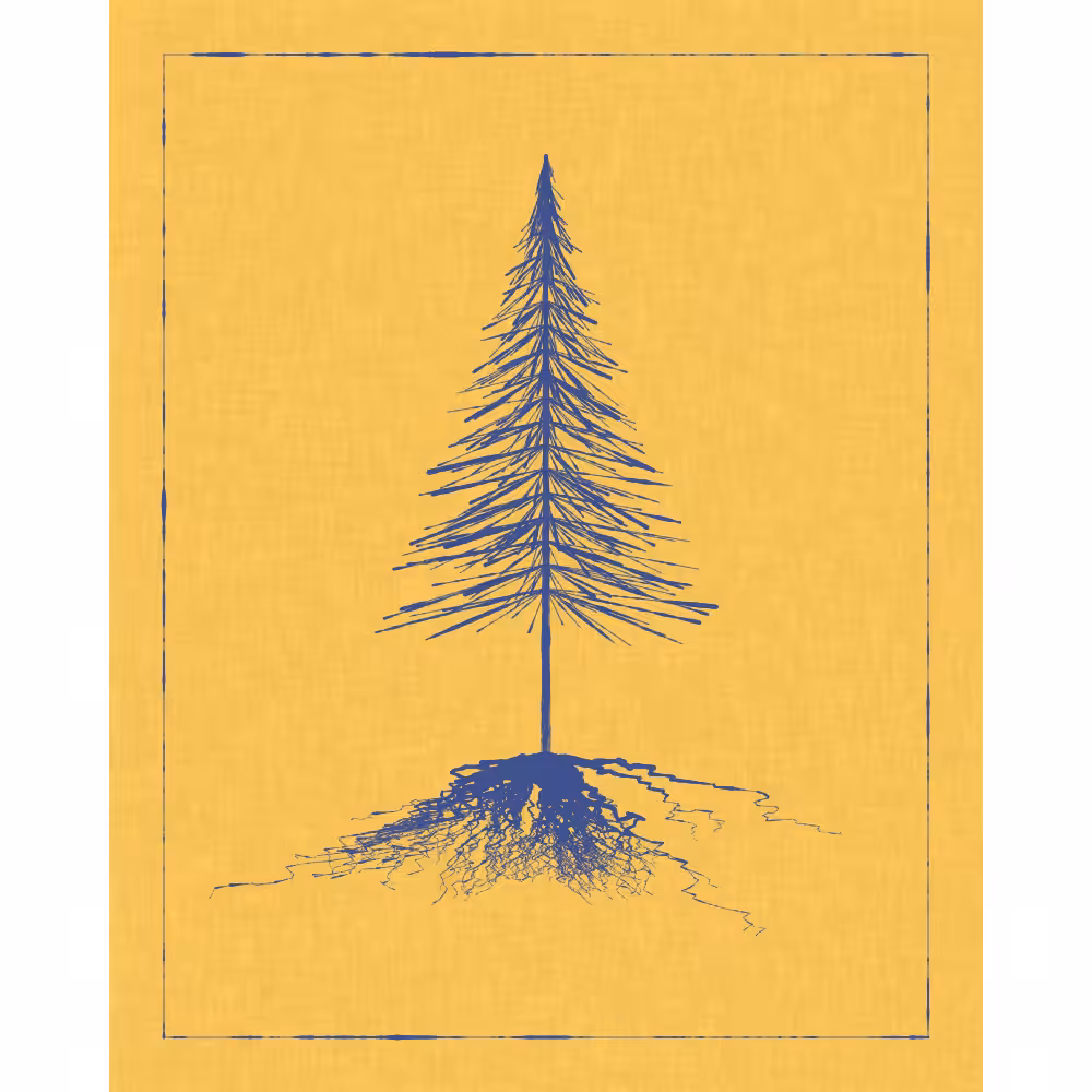Roots #54