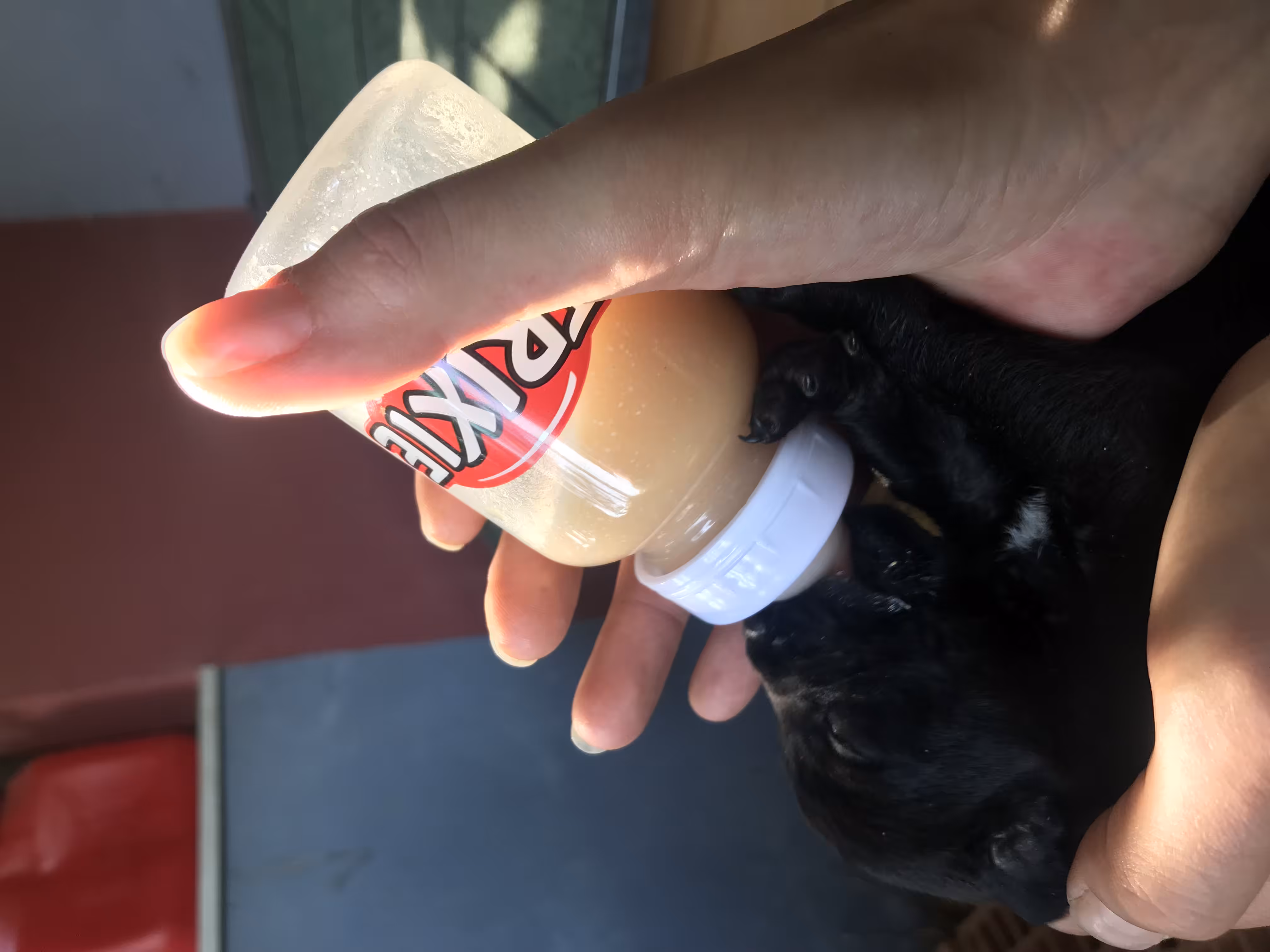 Six Day old abandoned puppy rescued 