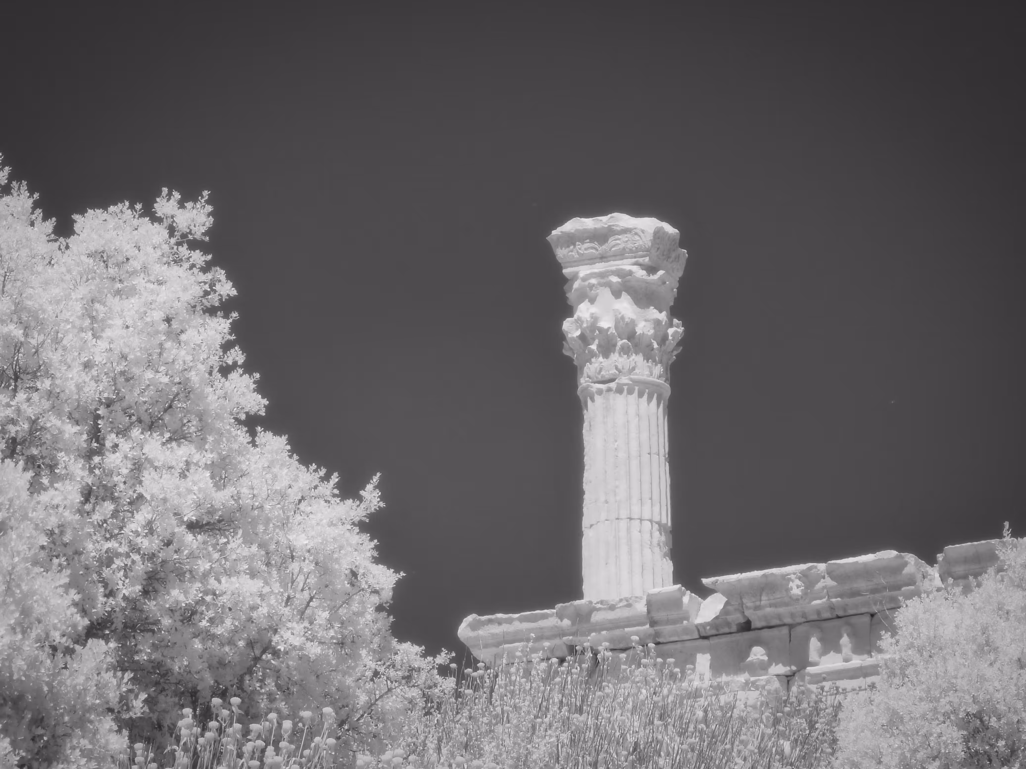 IR001