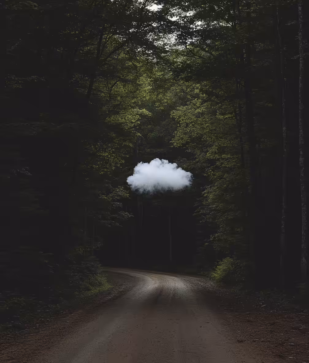 The story of a little cloud hidden in a forest
