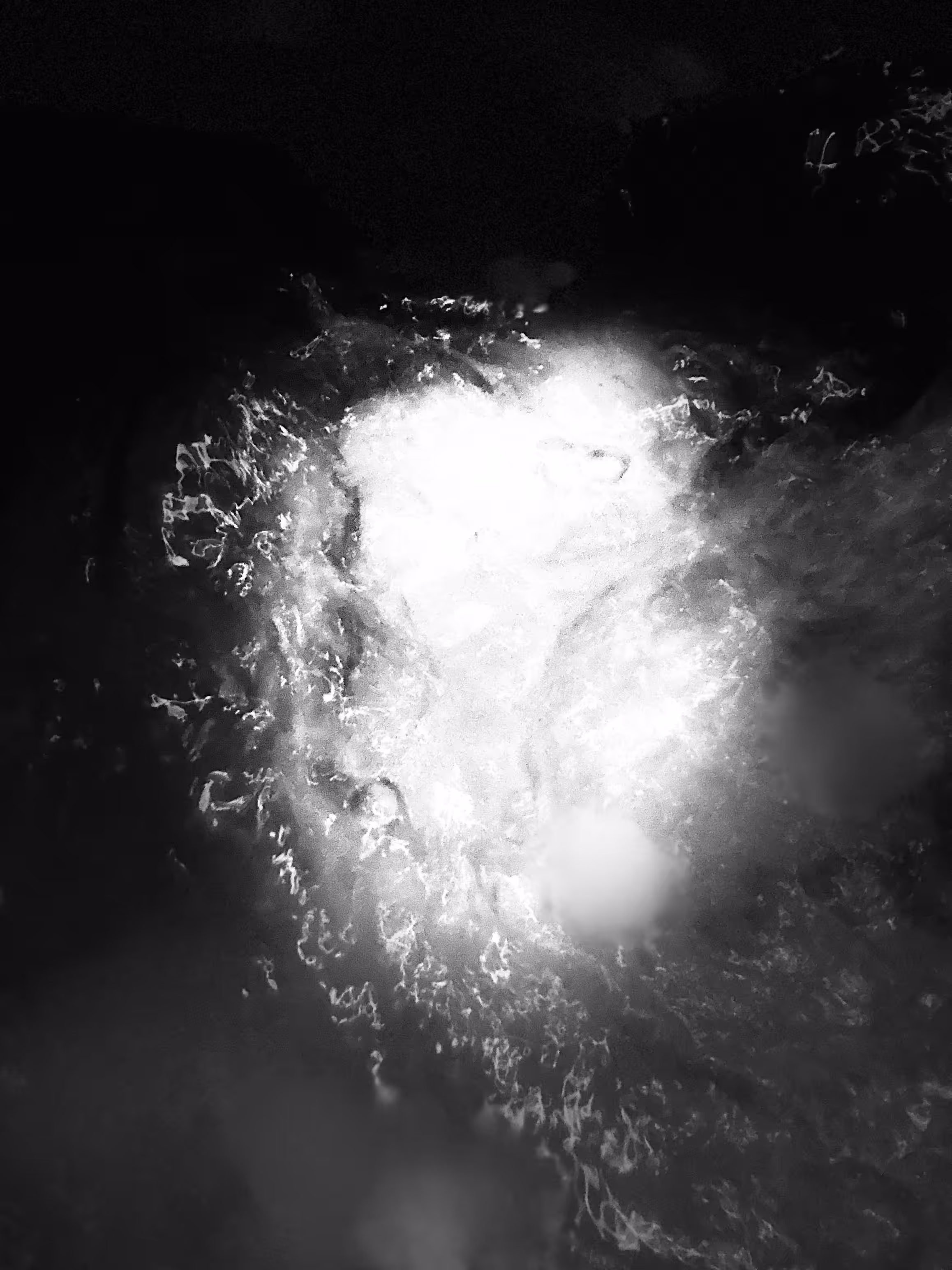 Between drowning and becoming