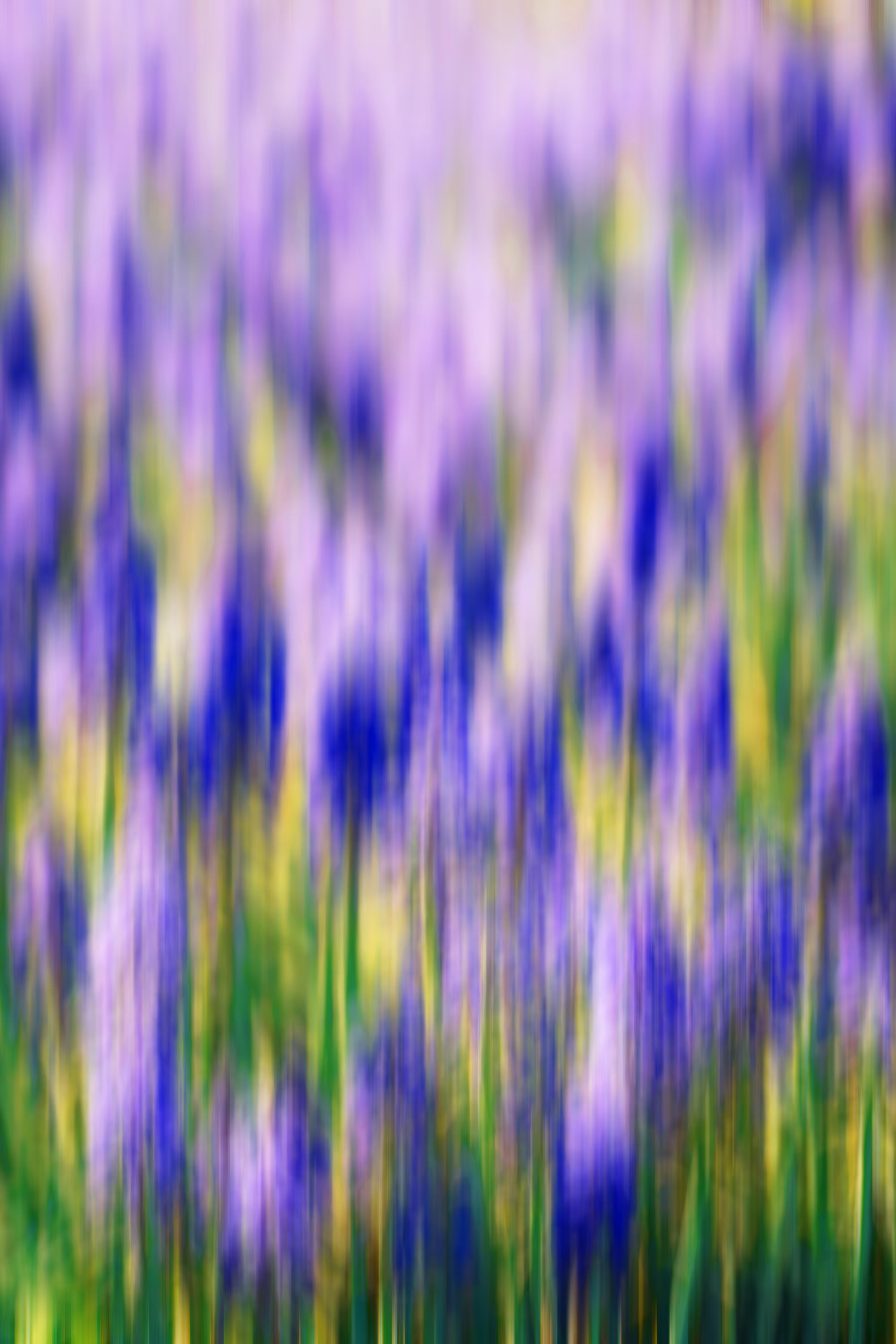 Horizons: Loom of Spring