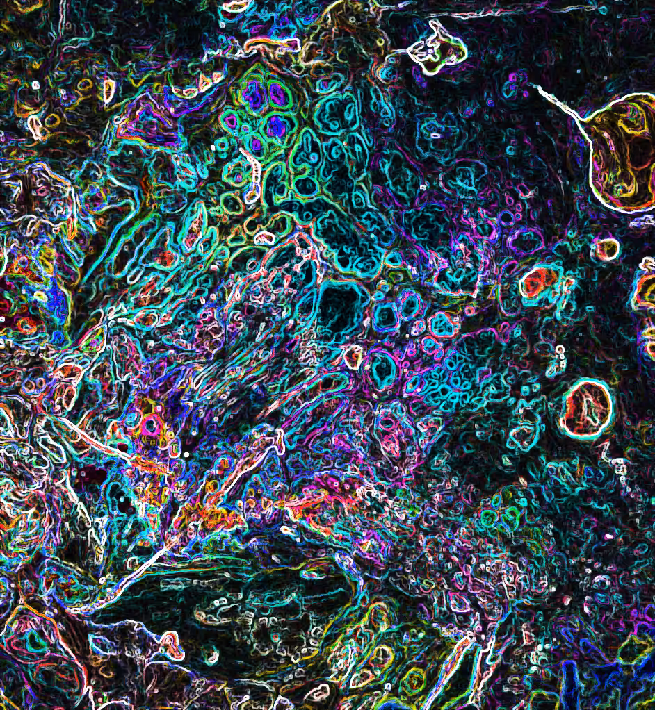 Petri Turquoise   ArtByLeClaireD1