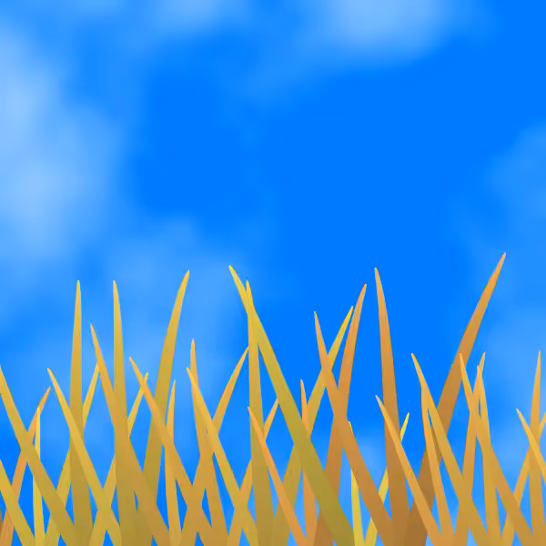 Fields of Ukraine #21