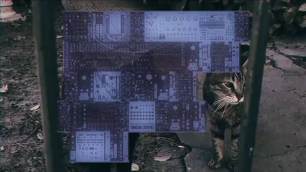 gatos II