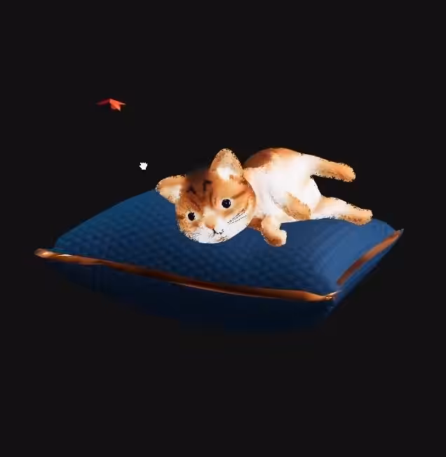 Kitten # 03