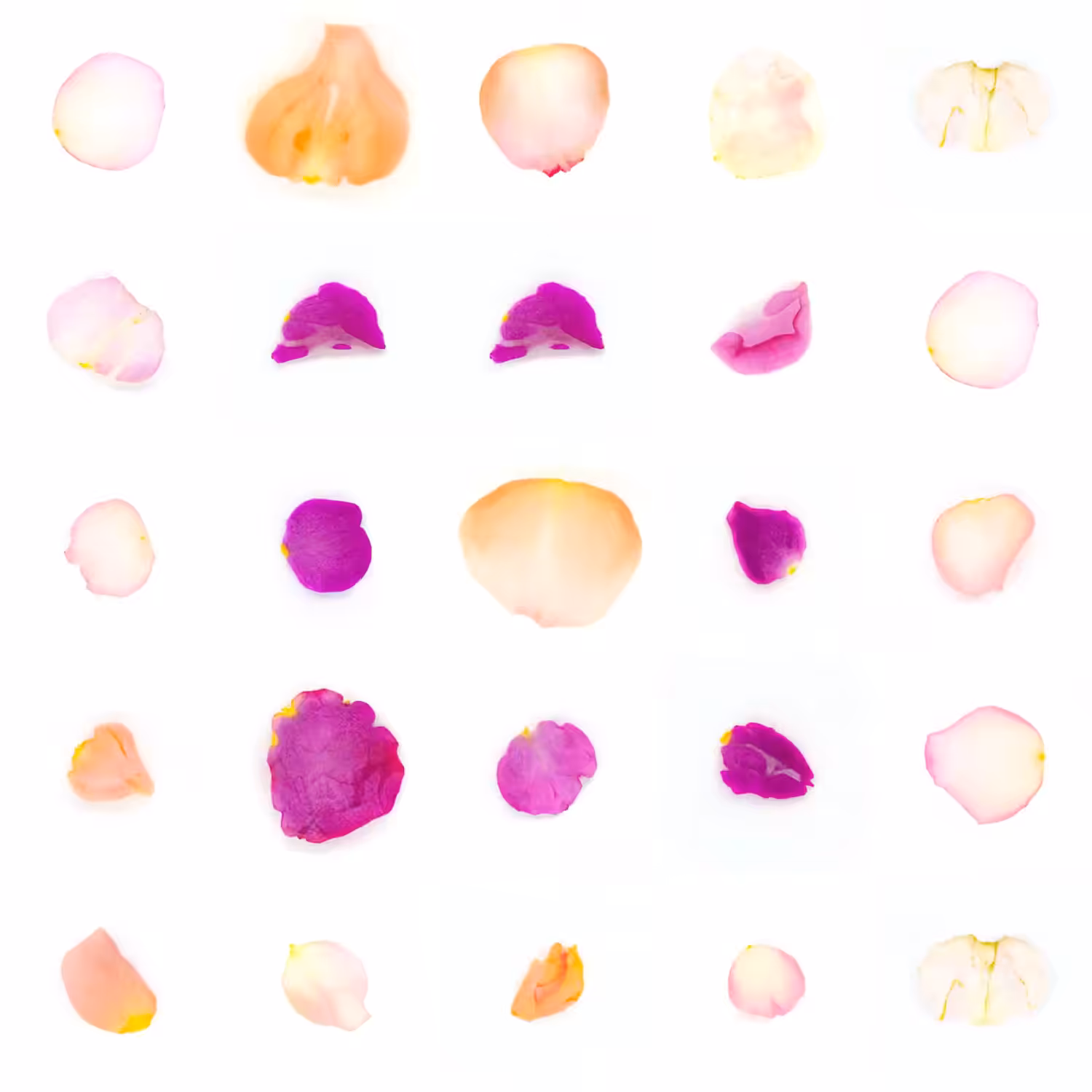 Infinite Petals 5x5#20568