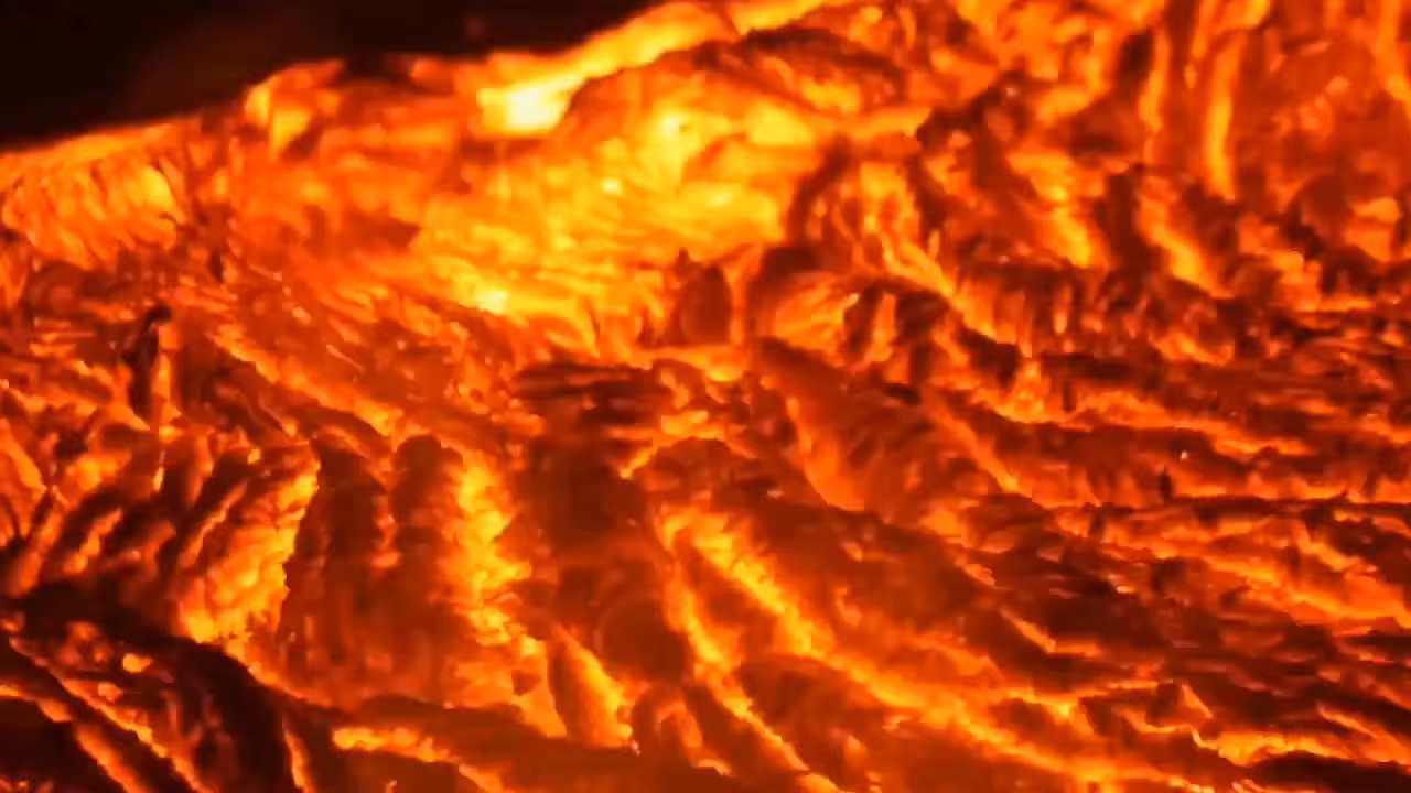 full force _ forces of nature