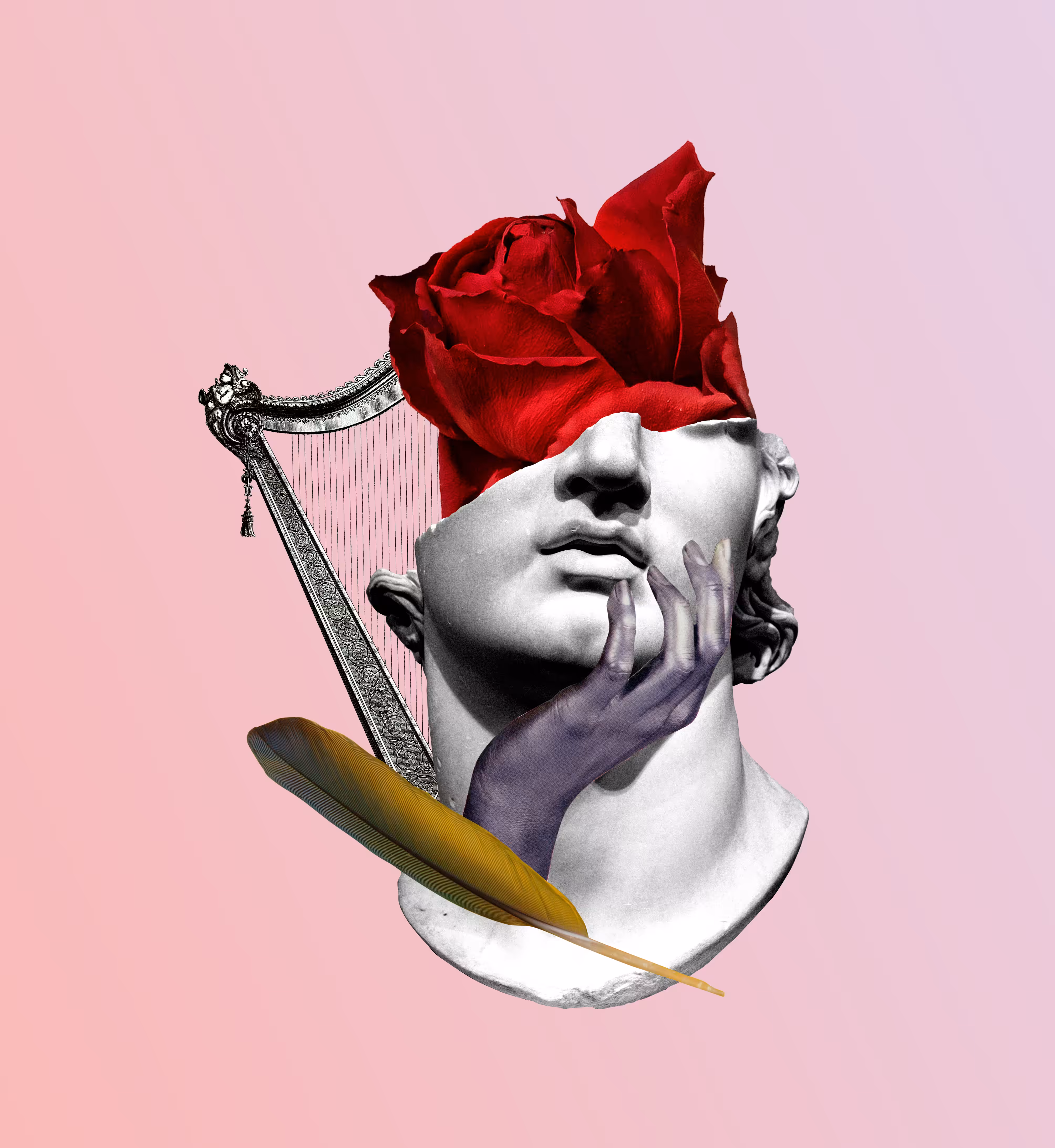 Rose Explosion