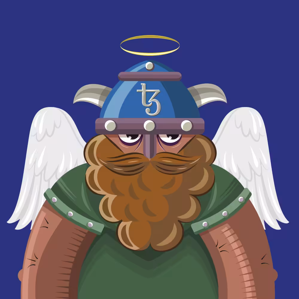 TEZ VIKINGS 29