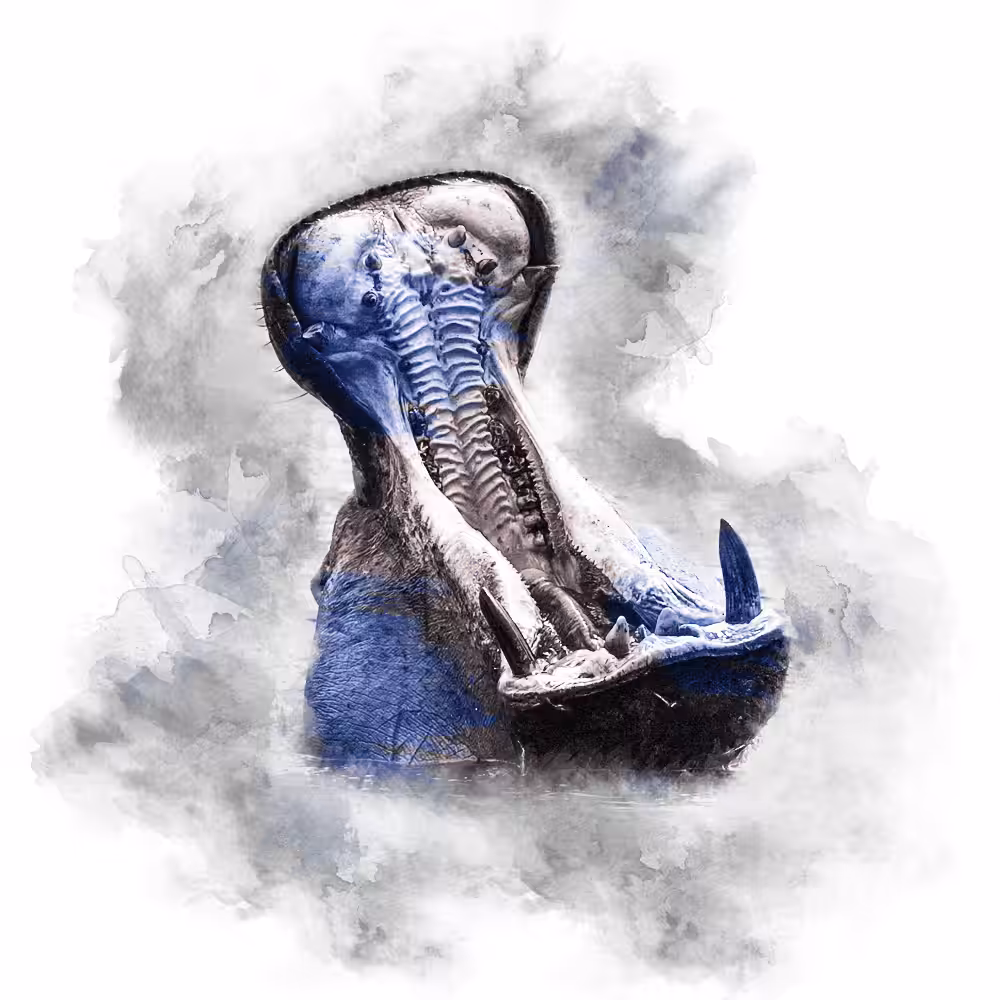 BLUE SERIES - HIPPO