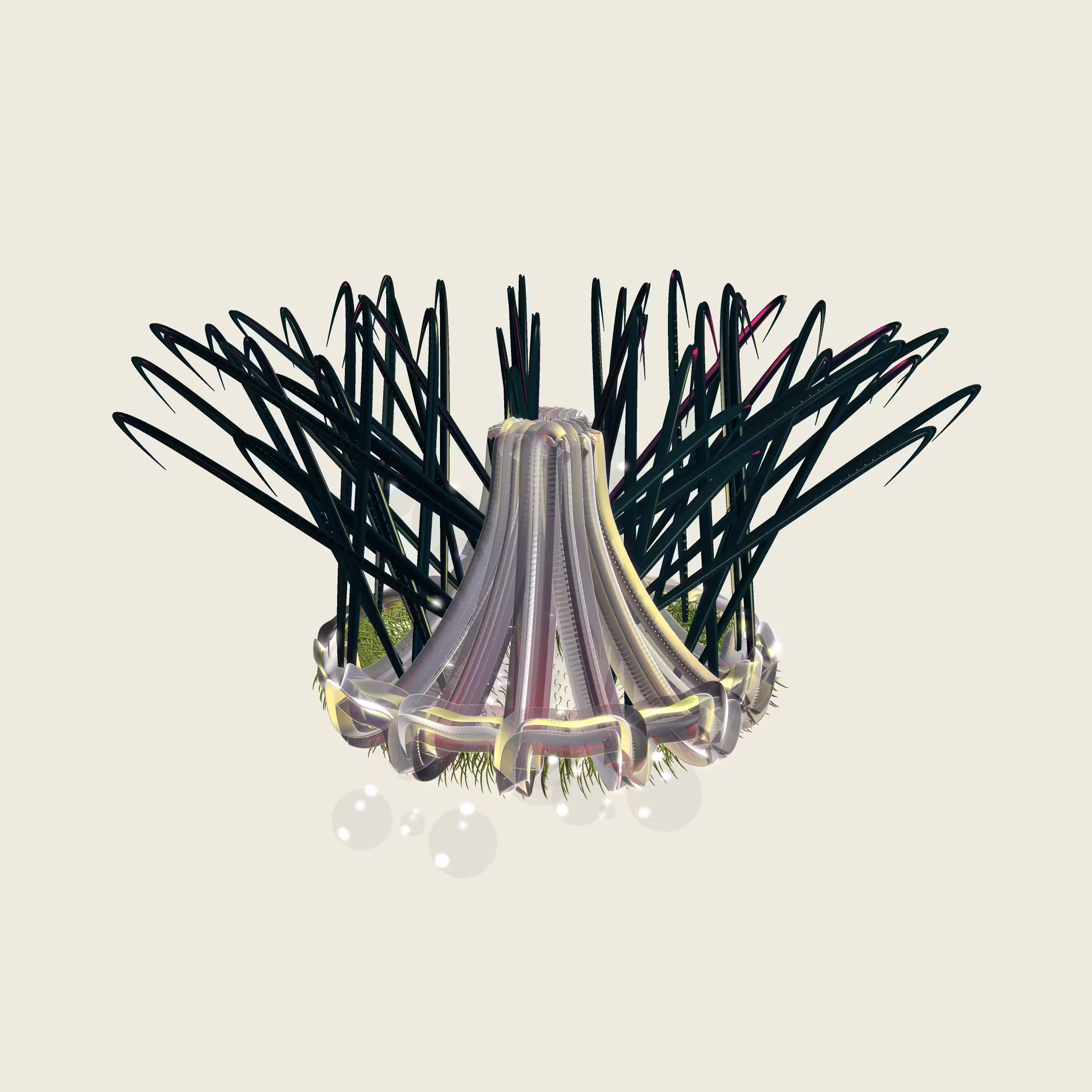 Lycorises #3