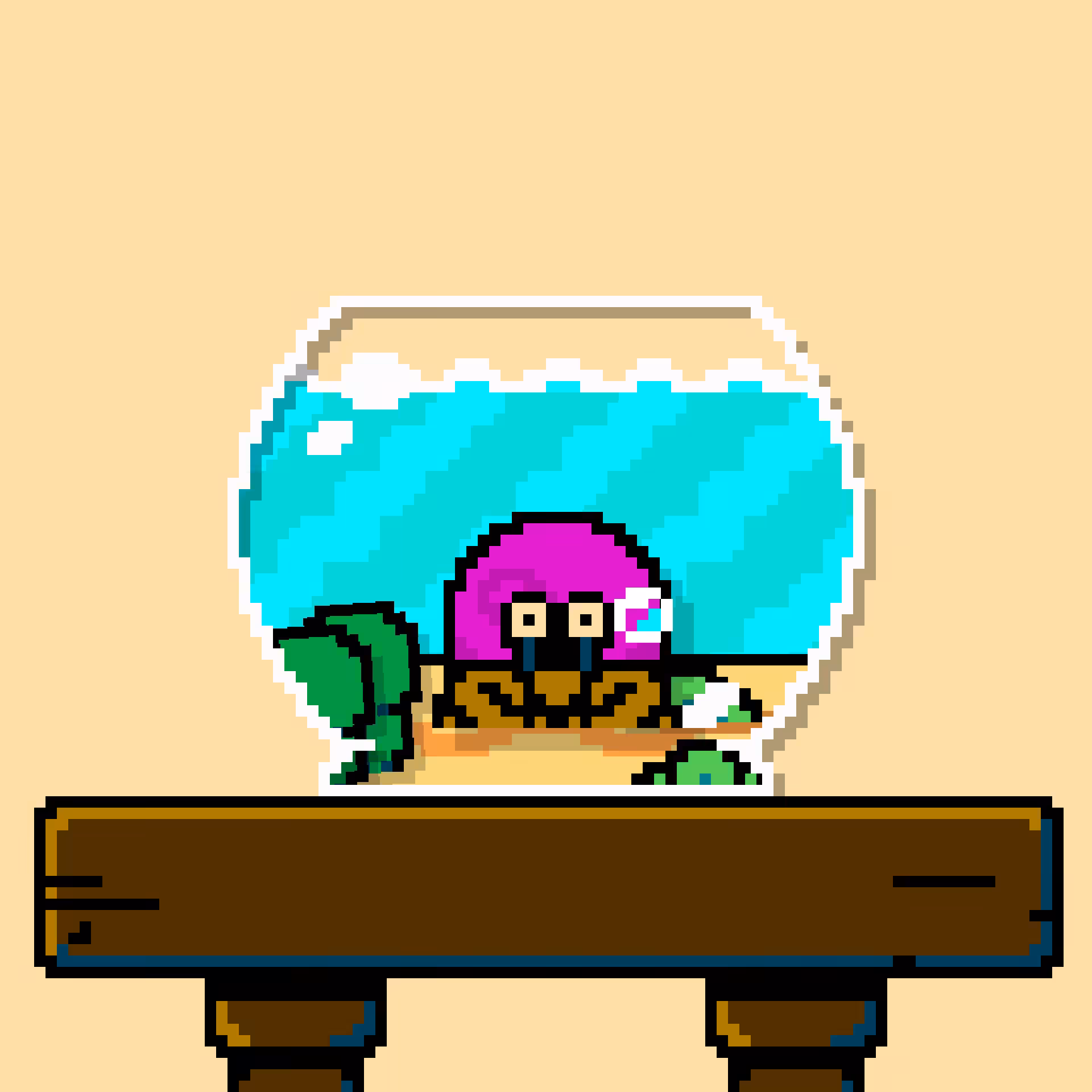 hermit crab #46