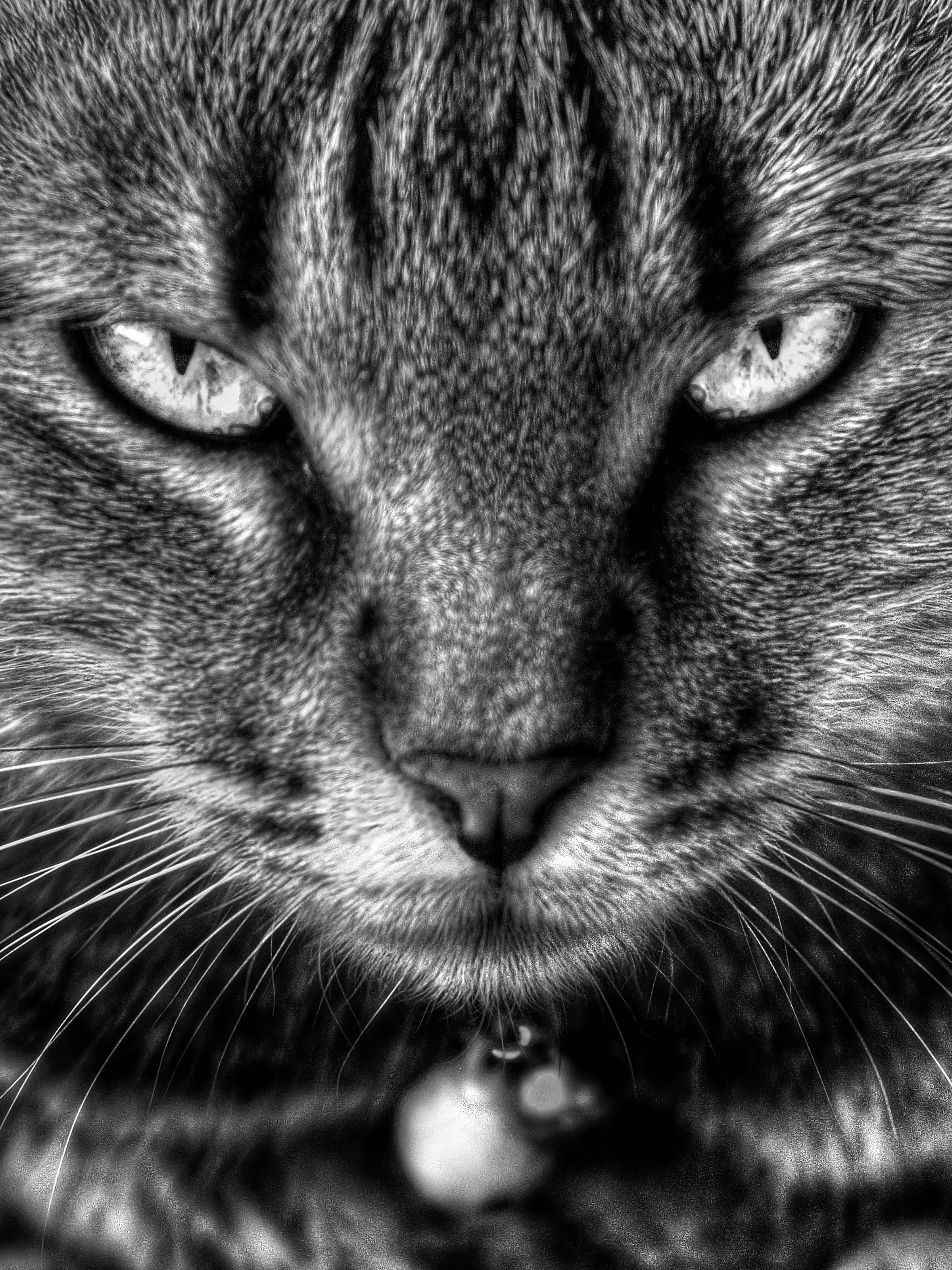 Deep Eyes