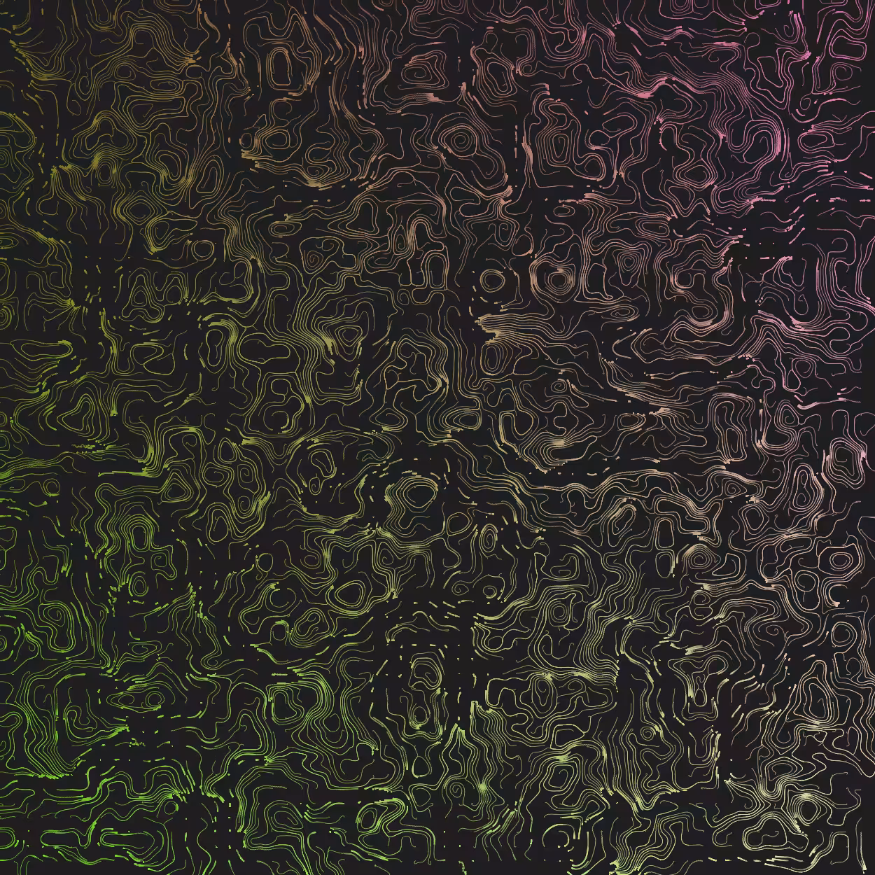 Topographic Lines #16