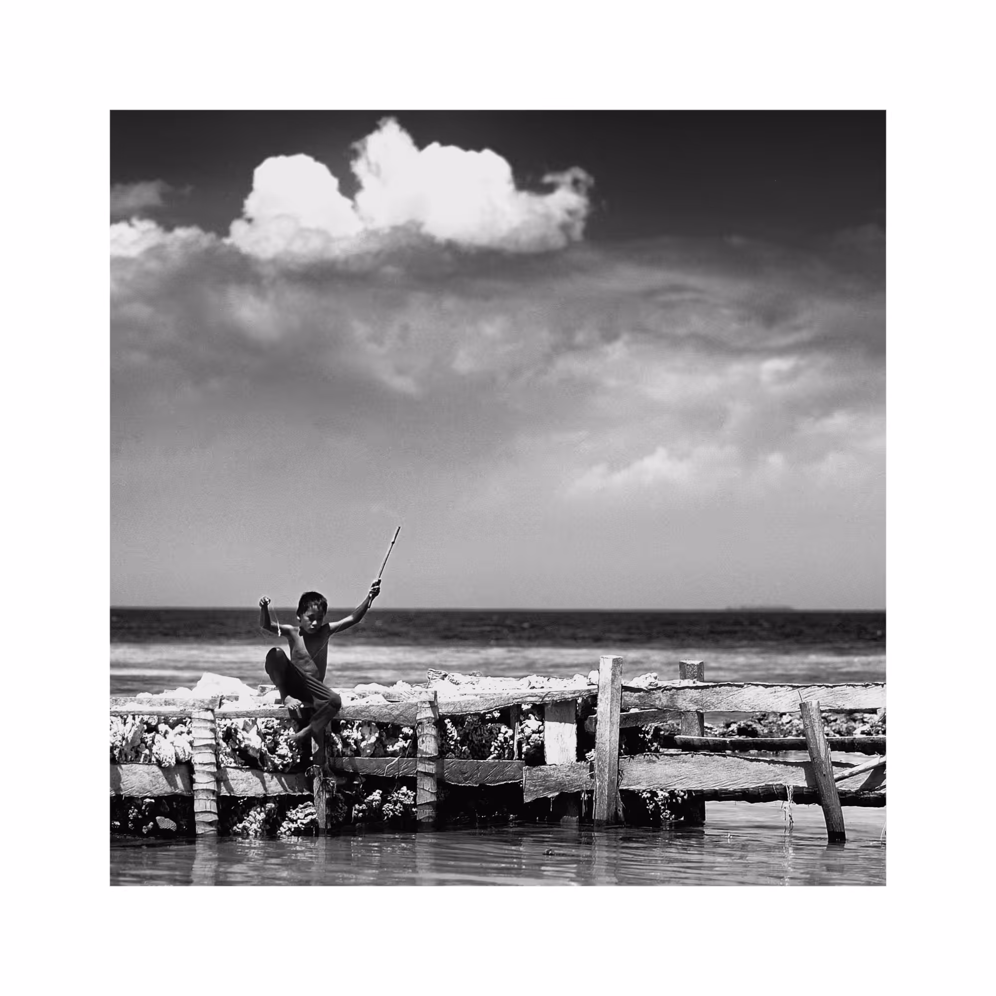Young Angler