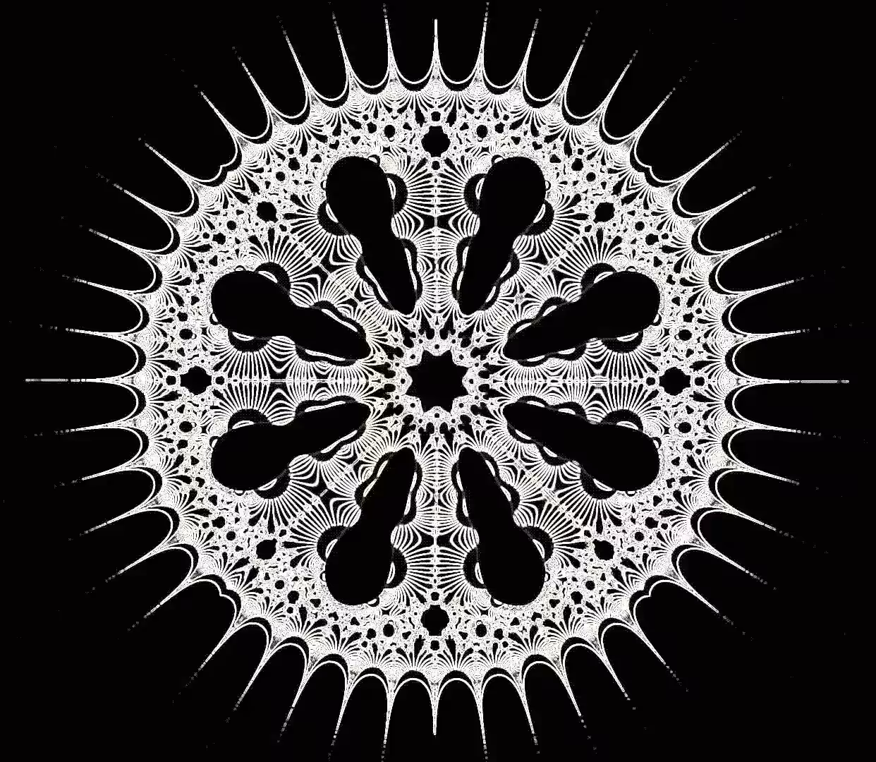 fractal star strobe I /2005