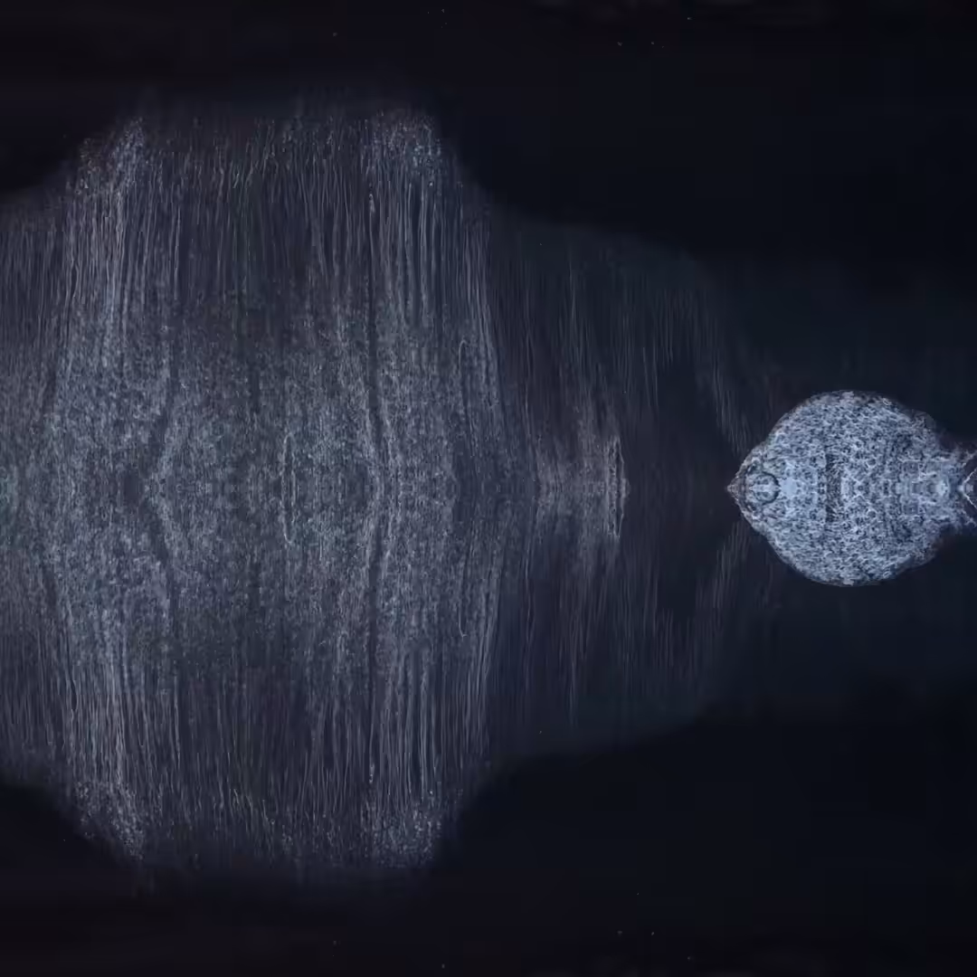 Black Sand Beats