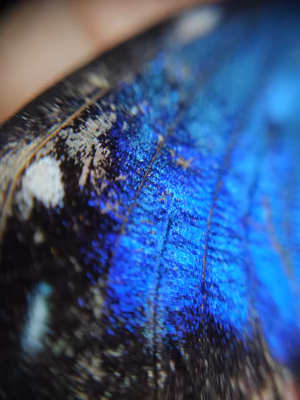 MicroNature #05