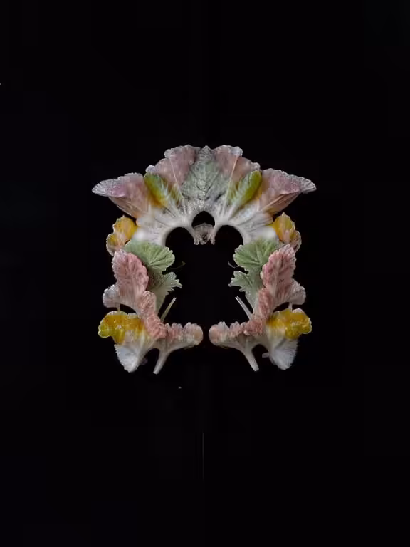 Emilia Trevisani - Quartzmycelia Lunar