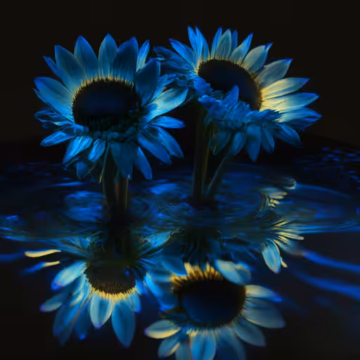 Reflection of Azule