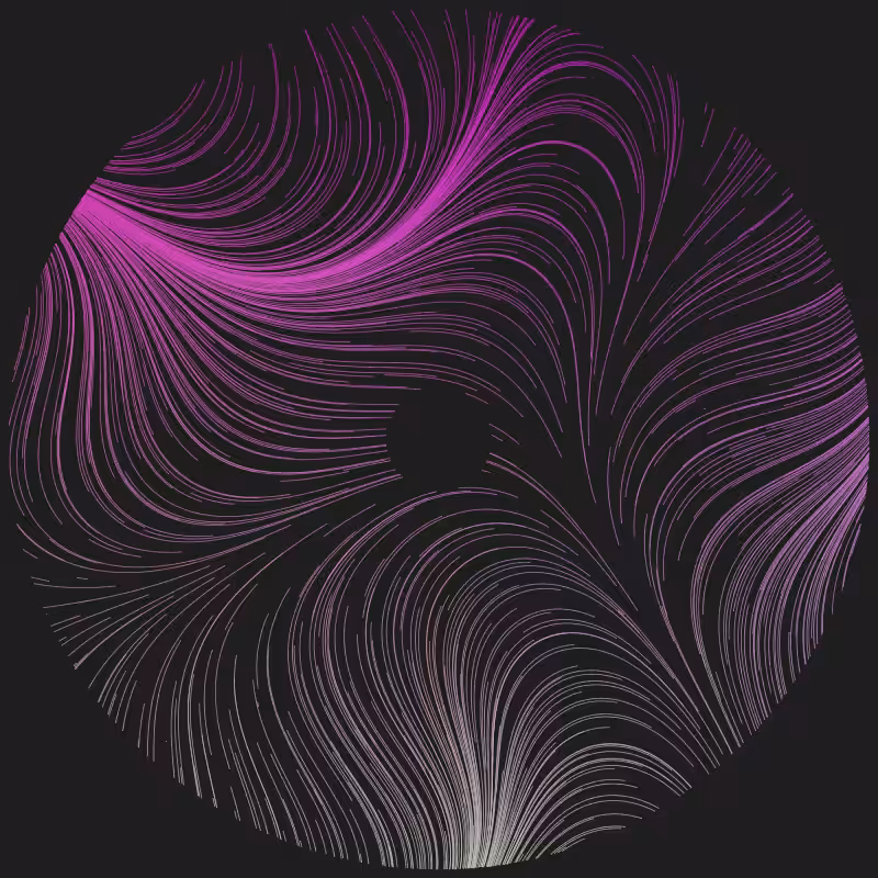 Magnetic Fields #29