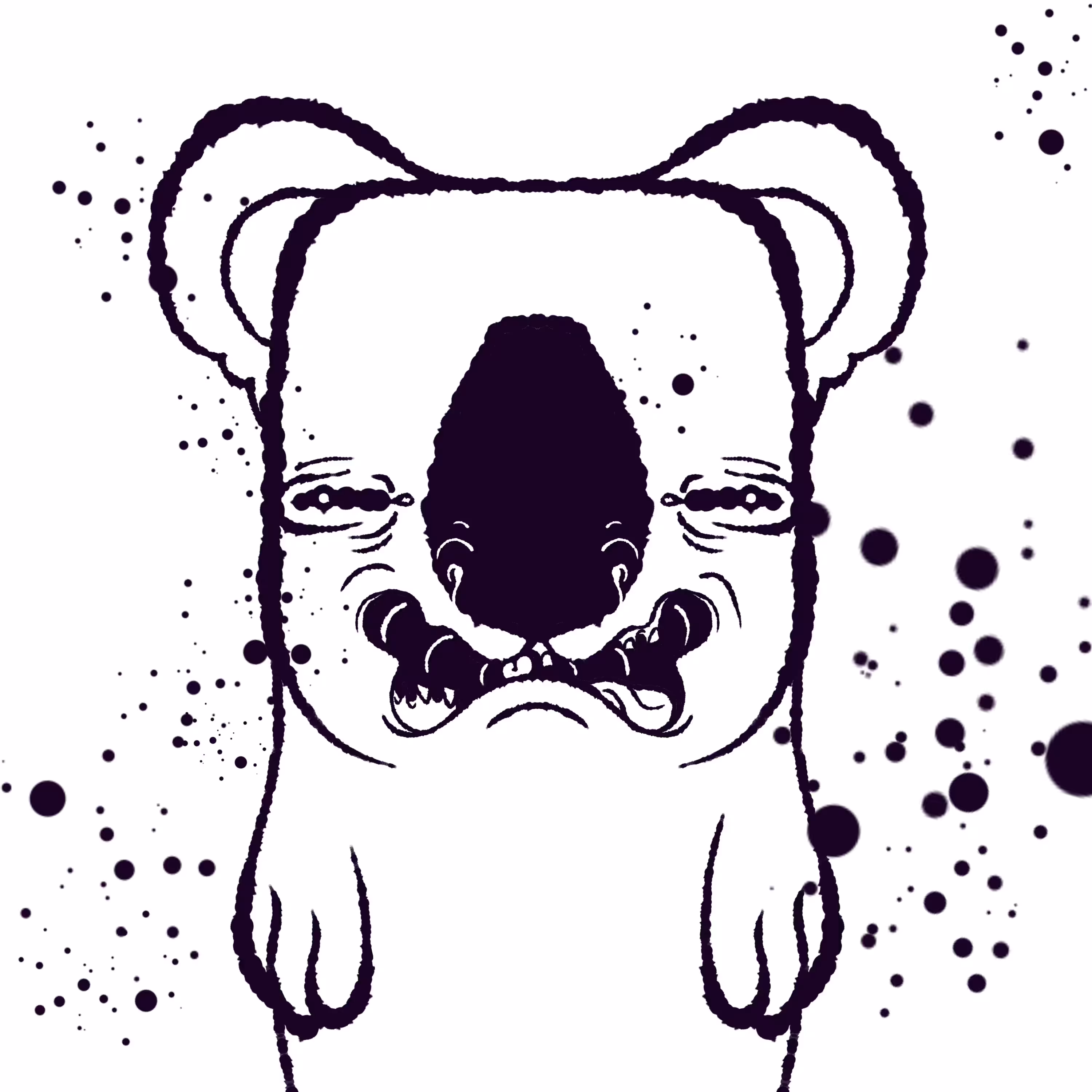 Koala #127