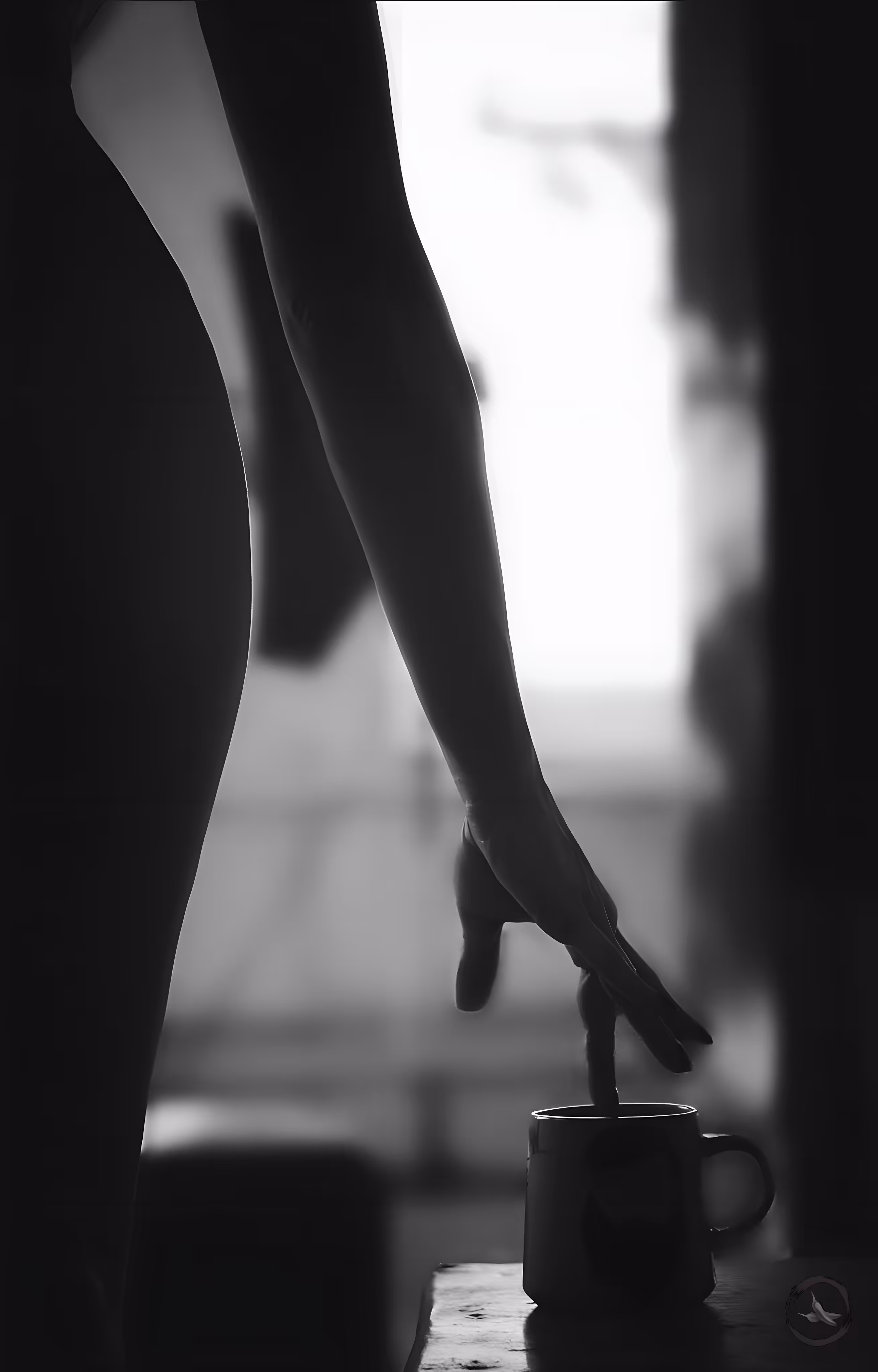 Timeless Elegance