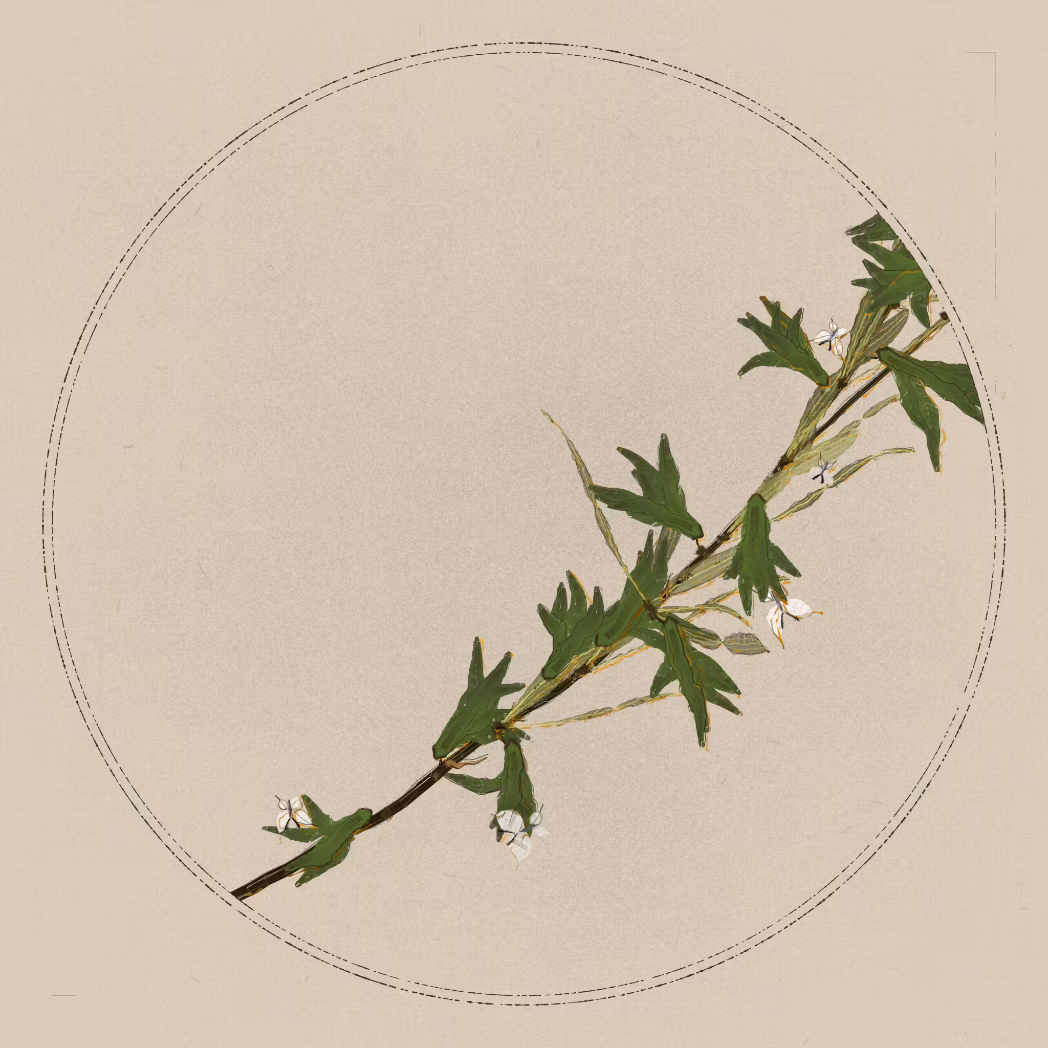 Polypaths |  植徑集: Polypaths | 植徑集 #715
