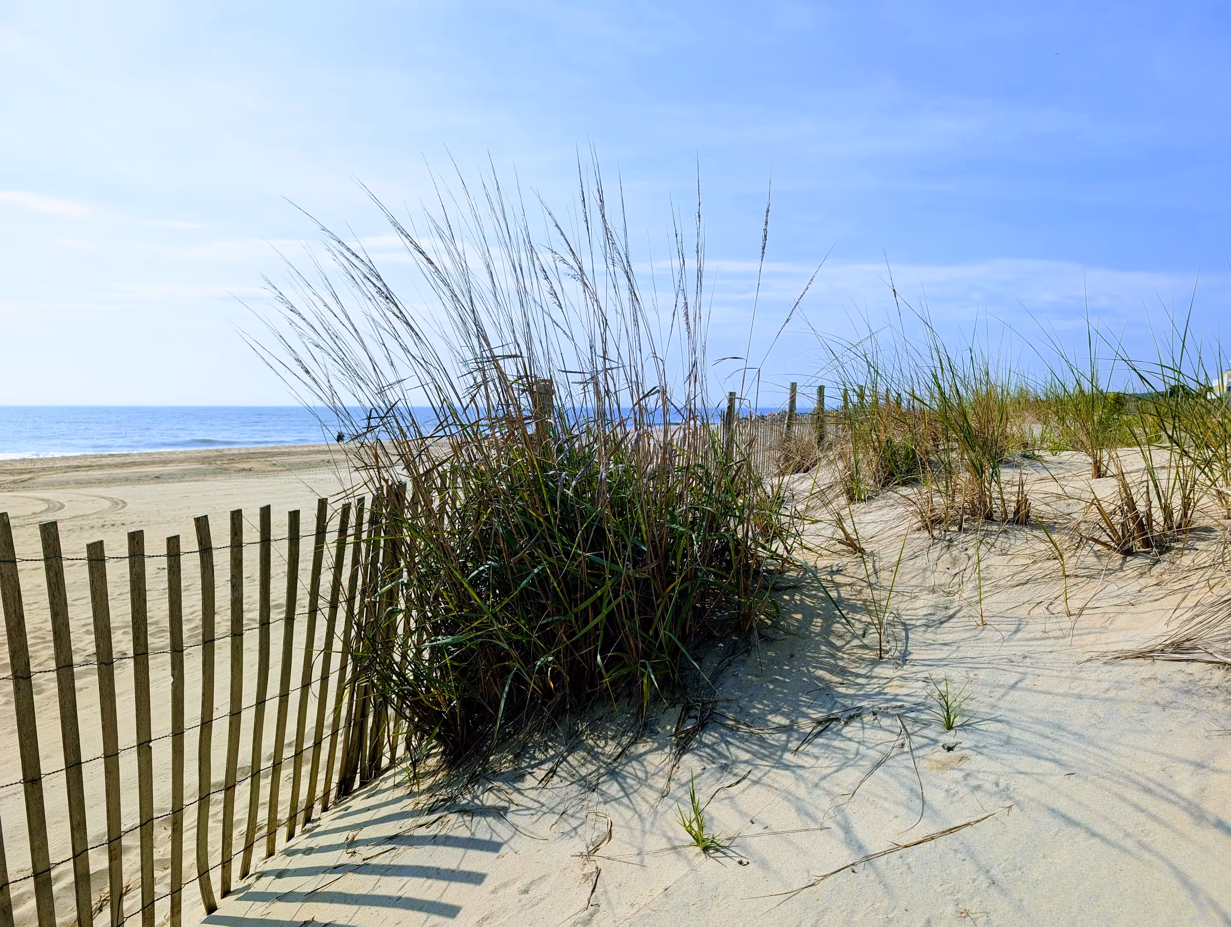 Wispy Seabreeze