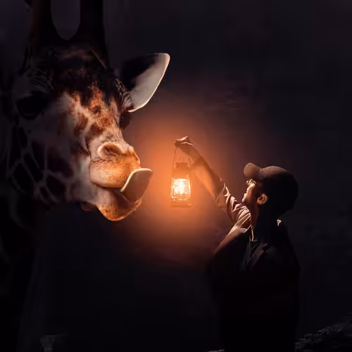 FantasyNFTs: Fantasy Manipulation That Inspired Grumpy Giraffe Gang.