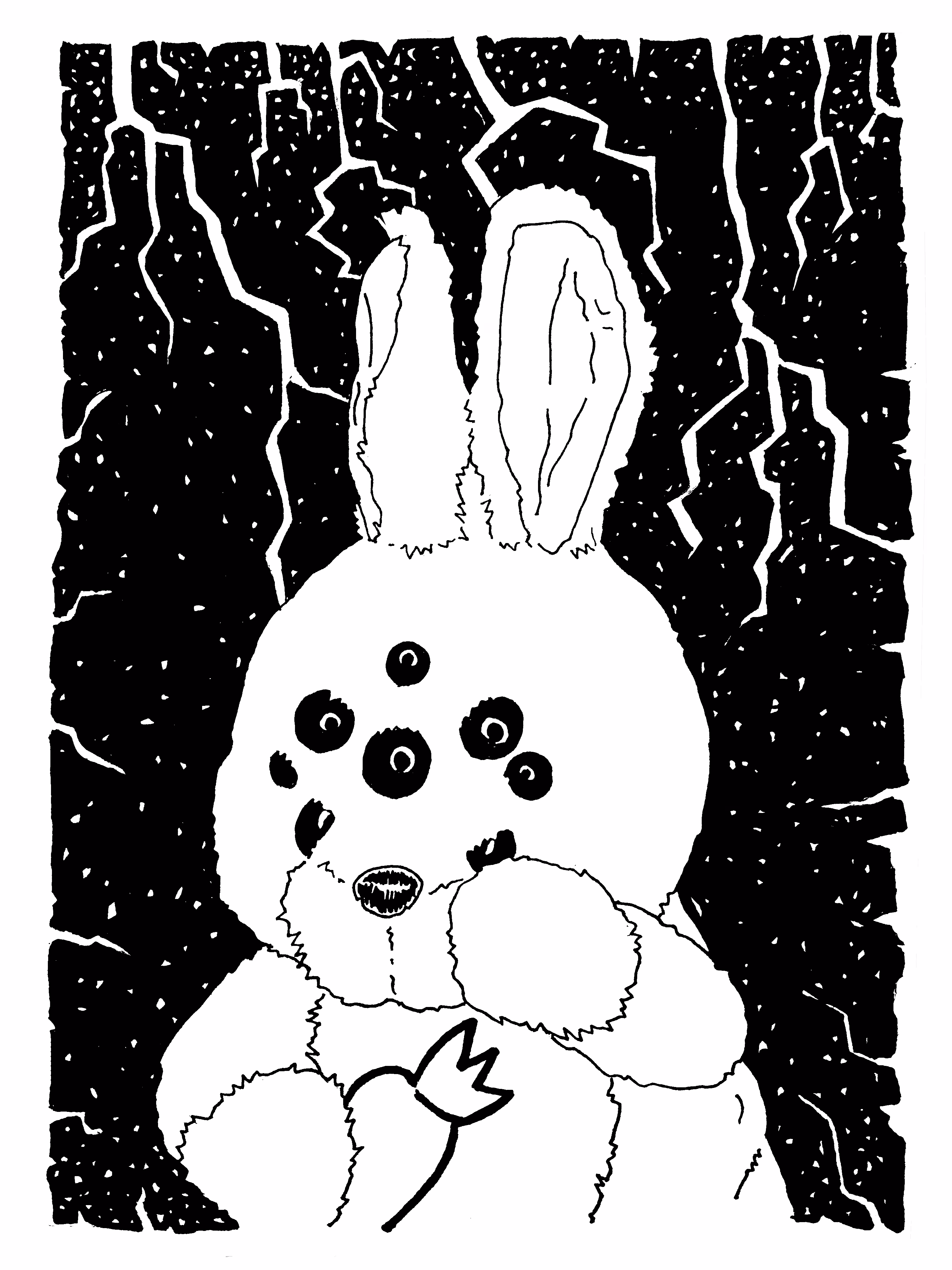 003 Randy