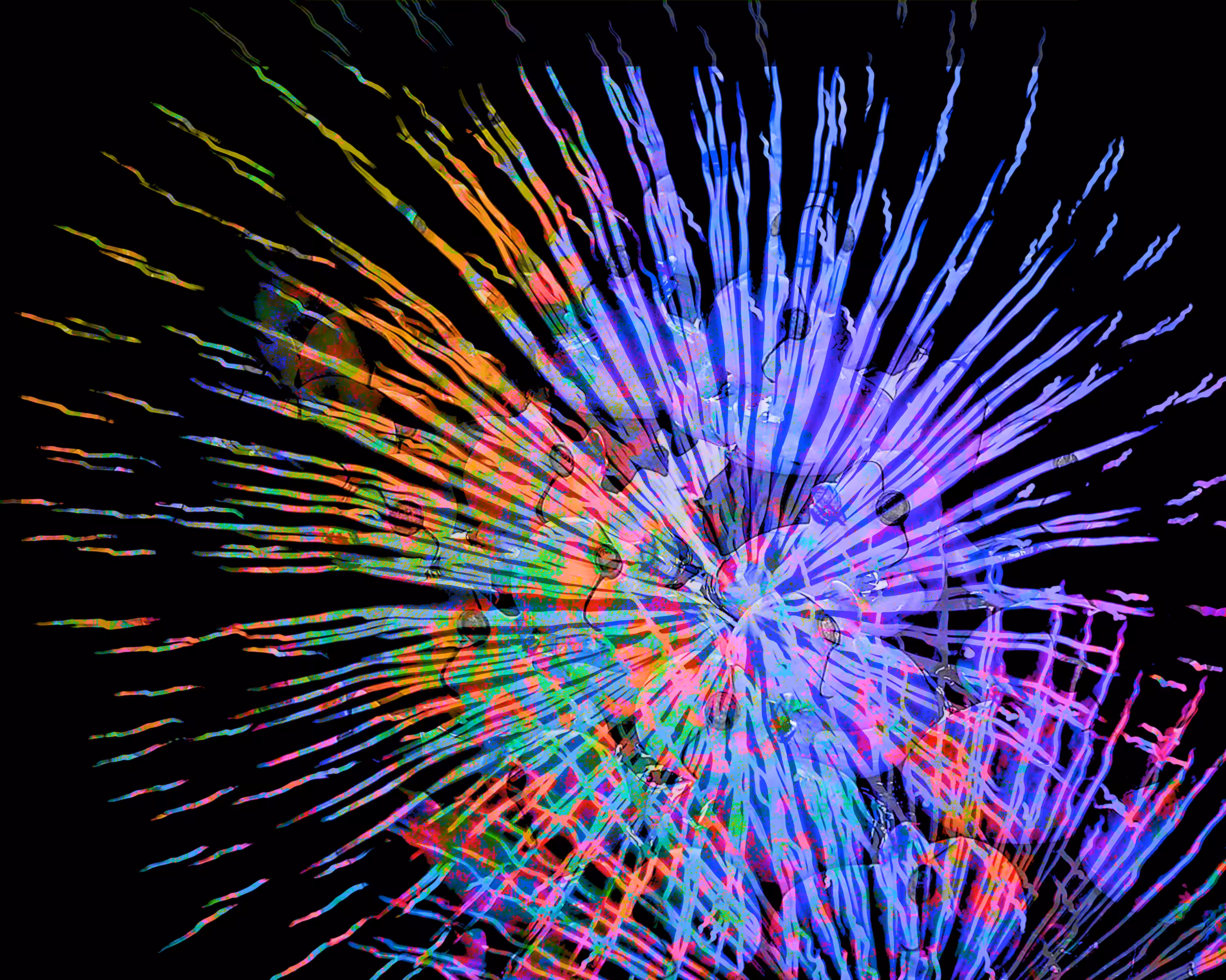 Ducky Illuminations 