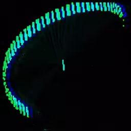 t-02