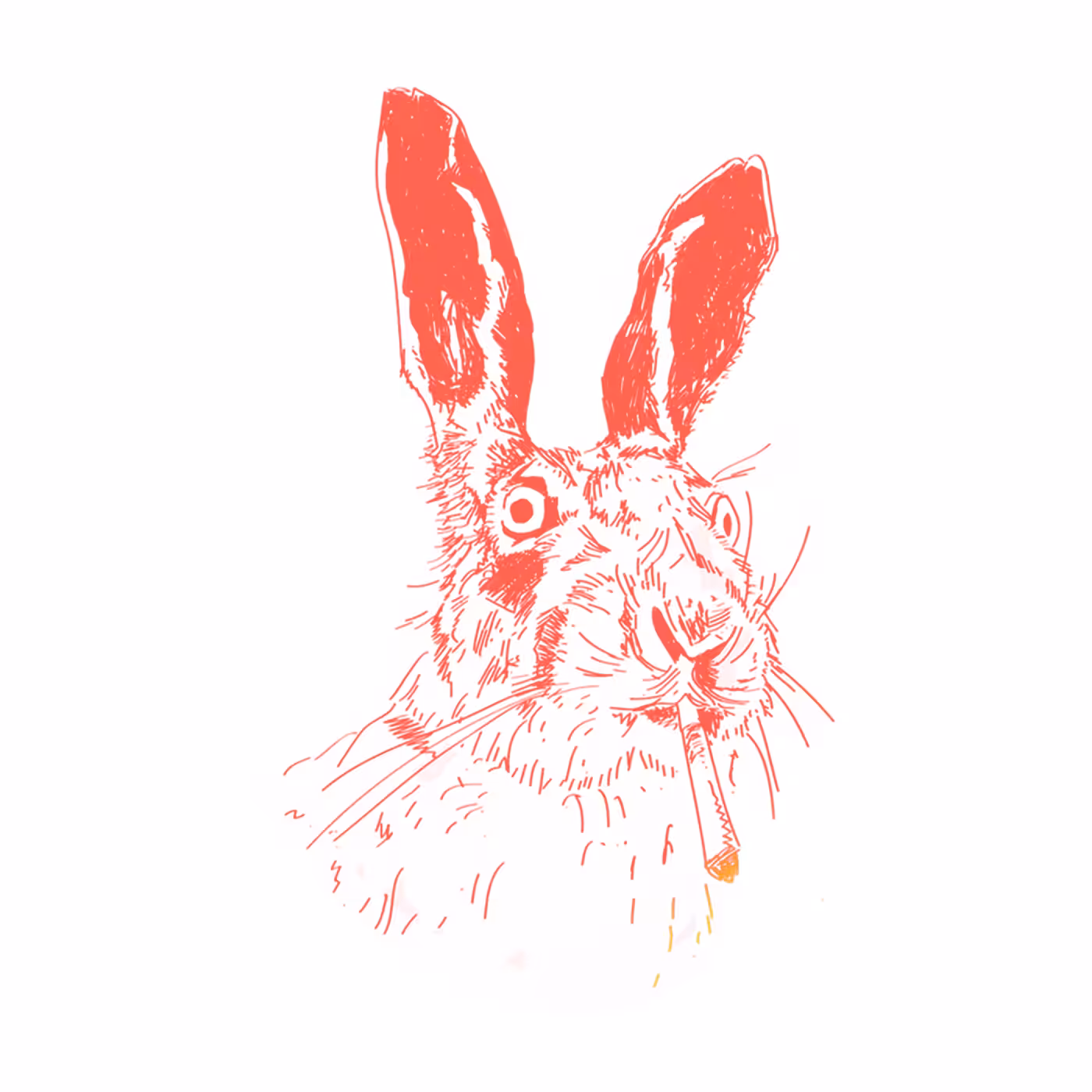 R4881T2