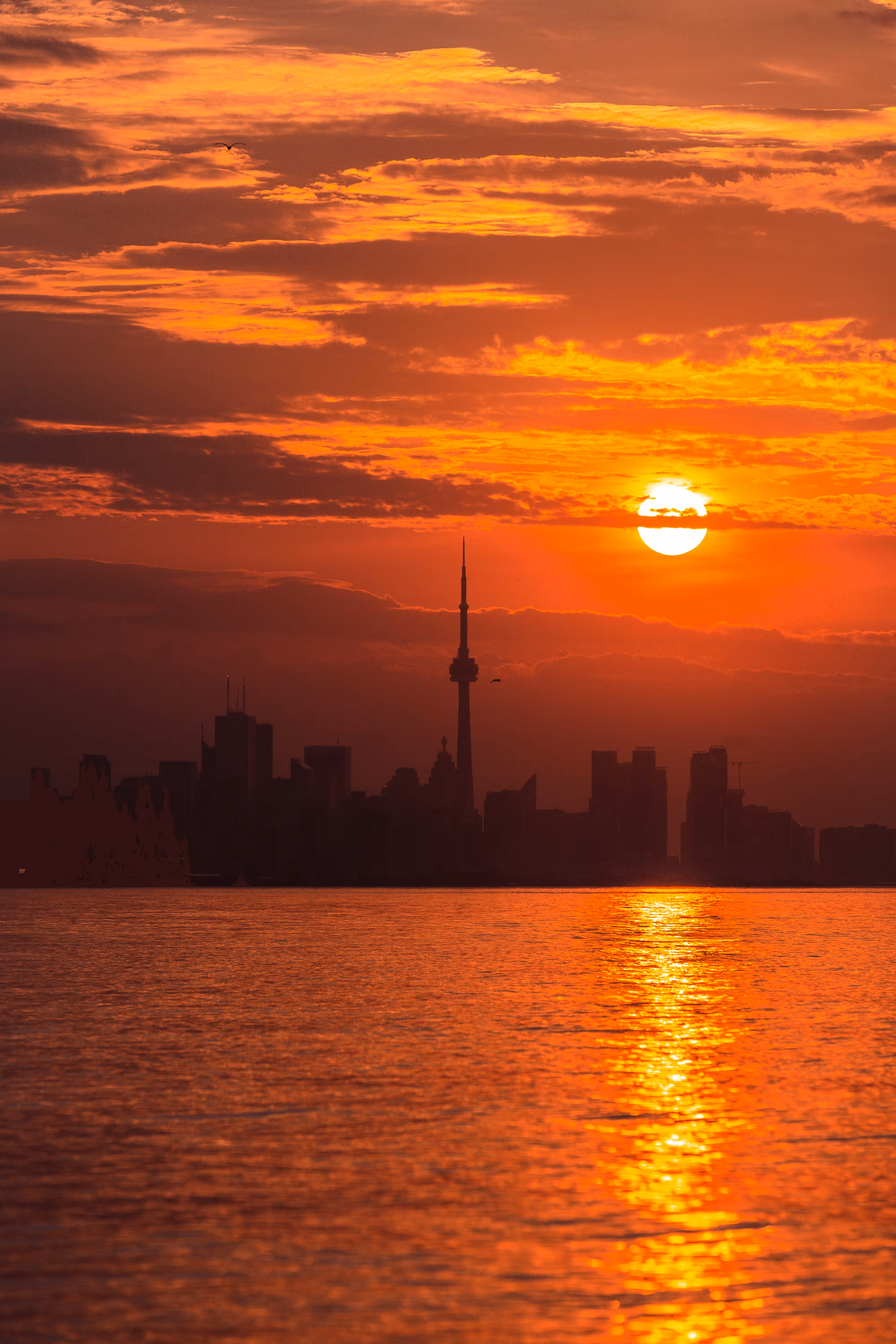Toronto: A City of Colour - #1 