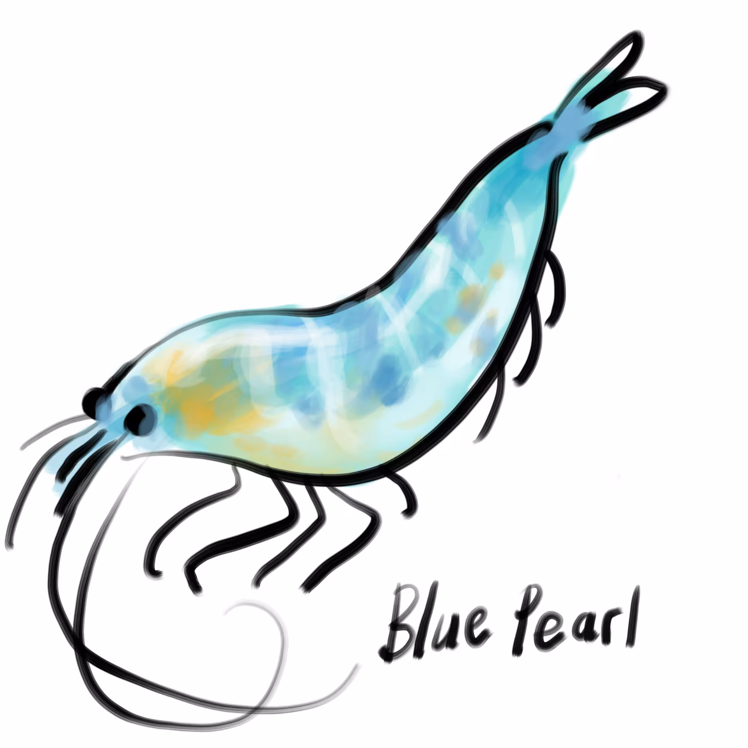 Blue Pearl