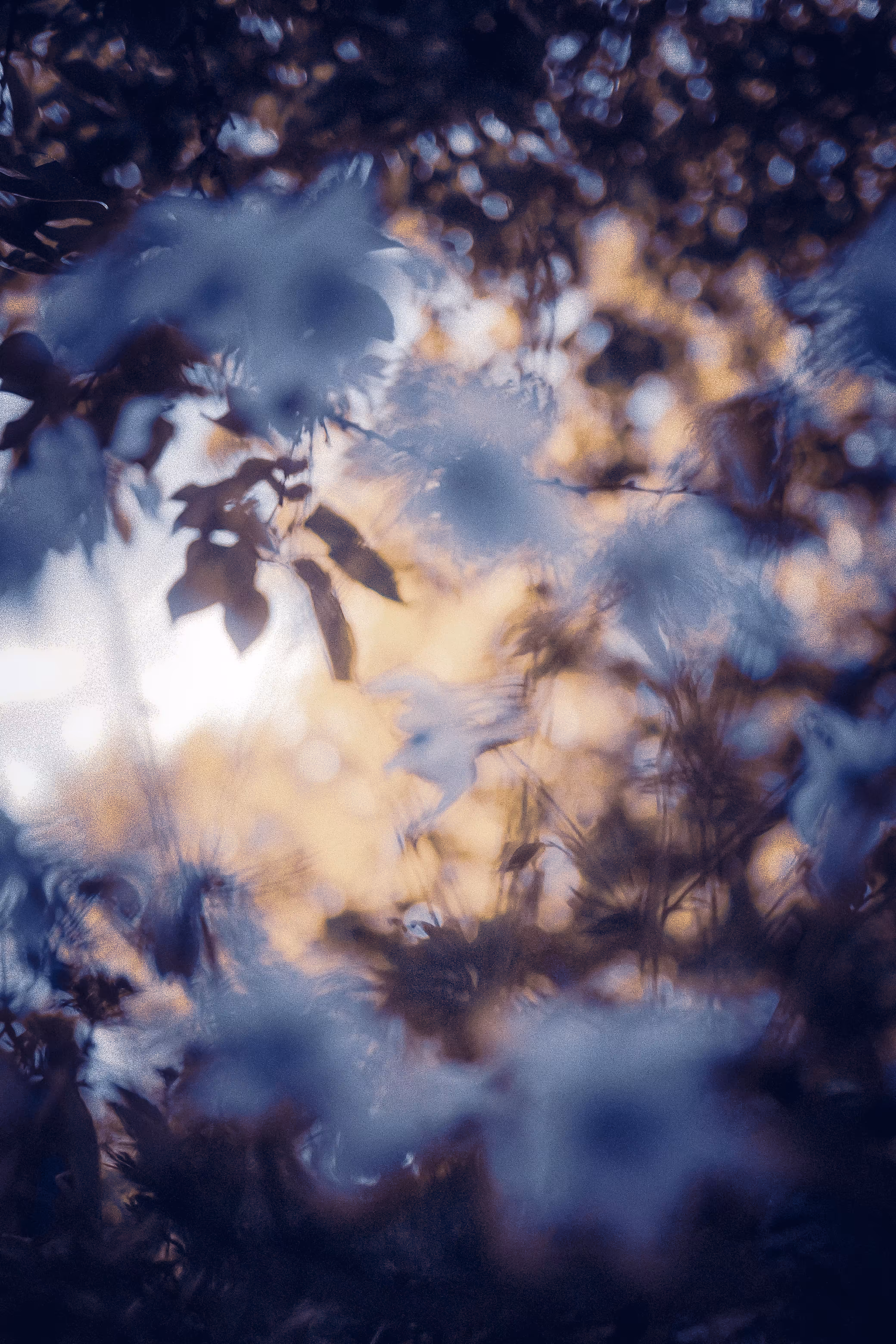 📷: Illusory moment