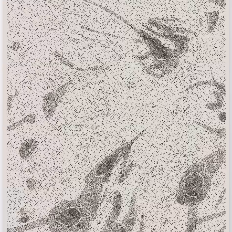 Caustics #44