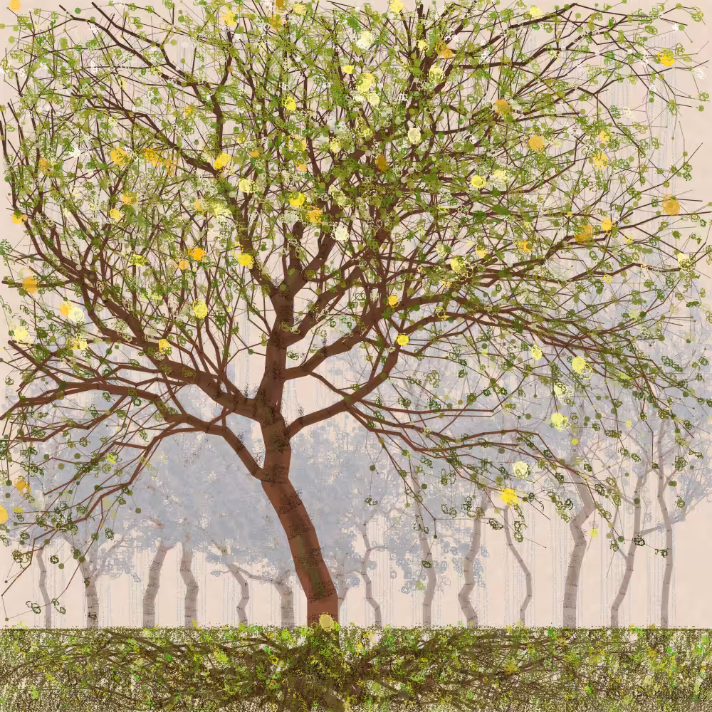 Orchard #121