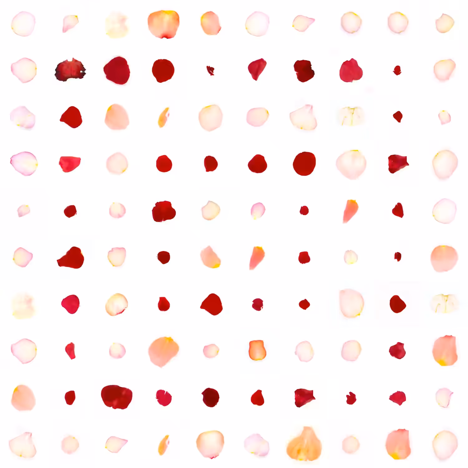 Infinite Petals 10x10#2488