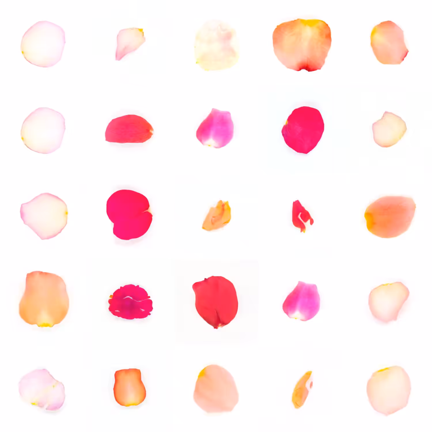 Infinite Petals 5x5#2198