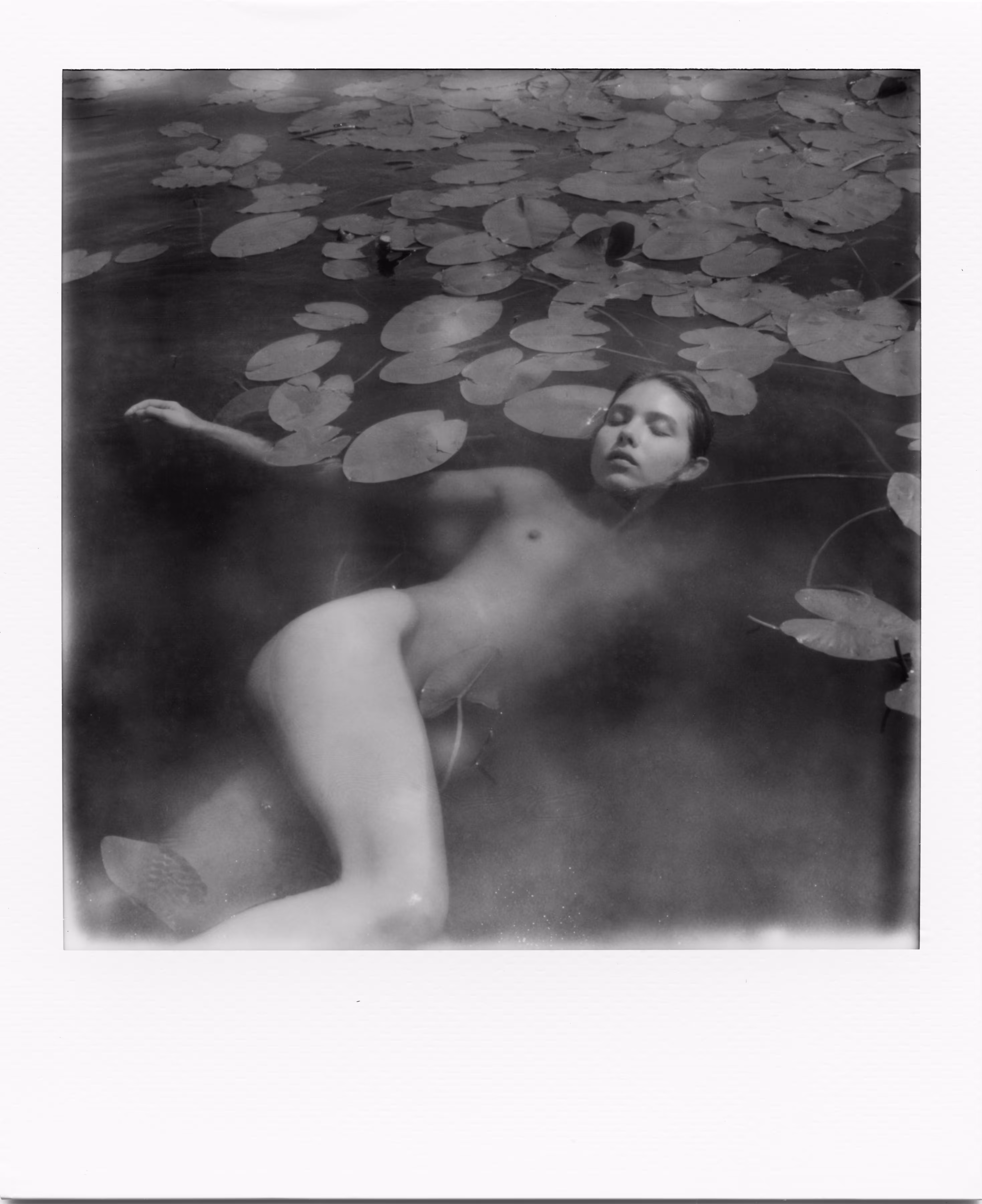 the girl in lilies II