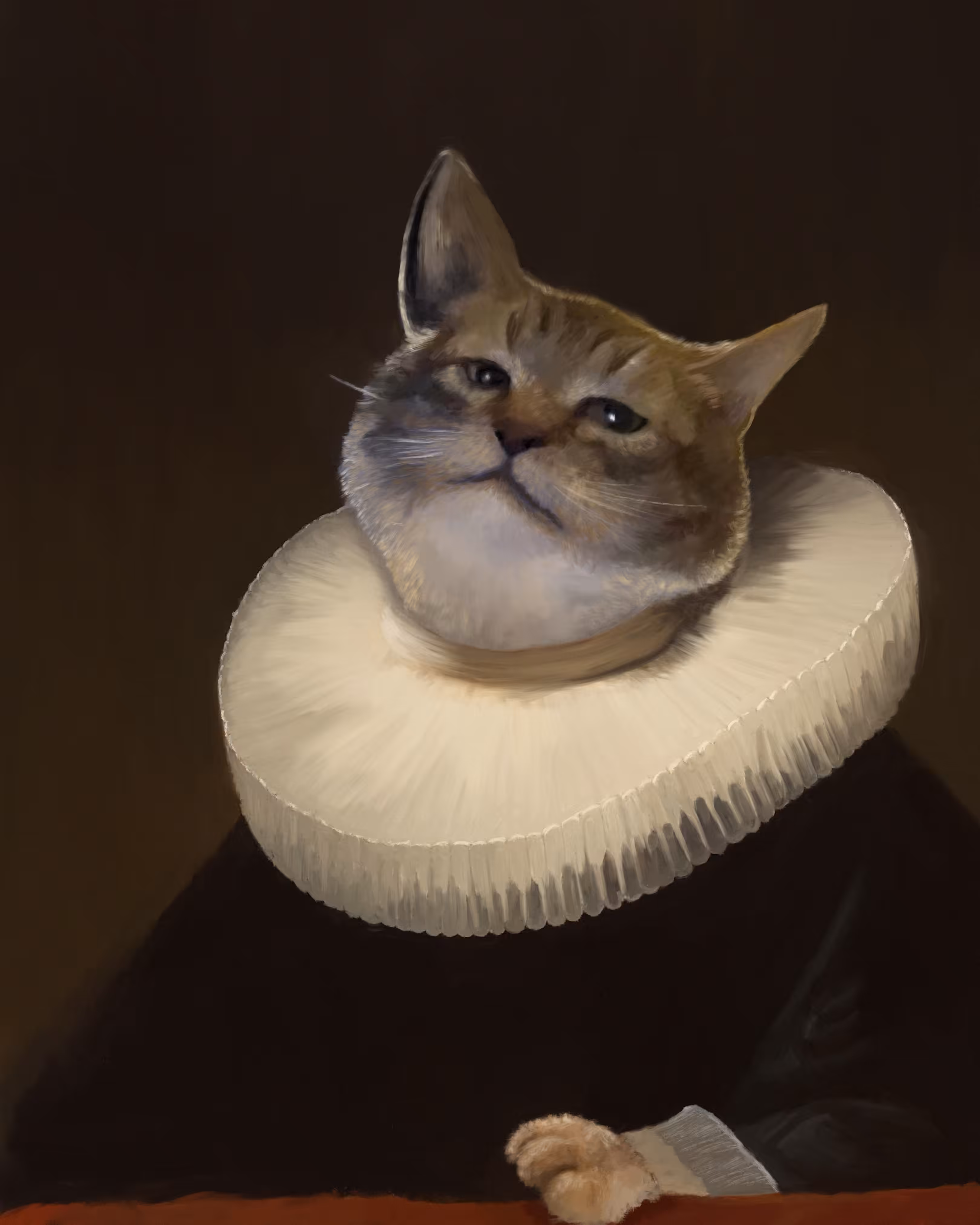 BAROKO CAT #1