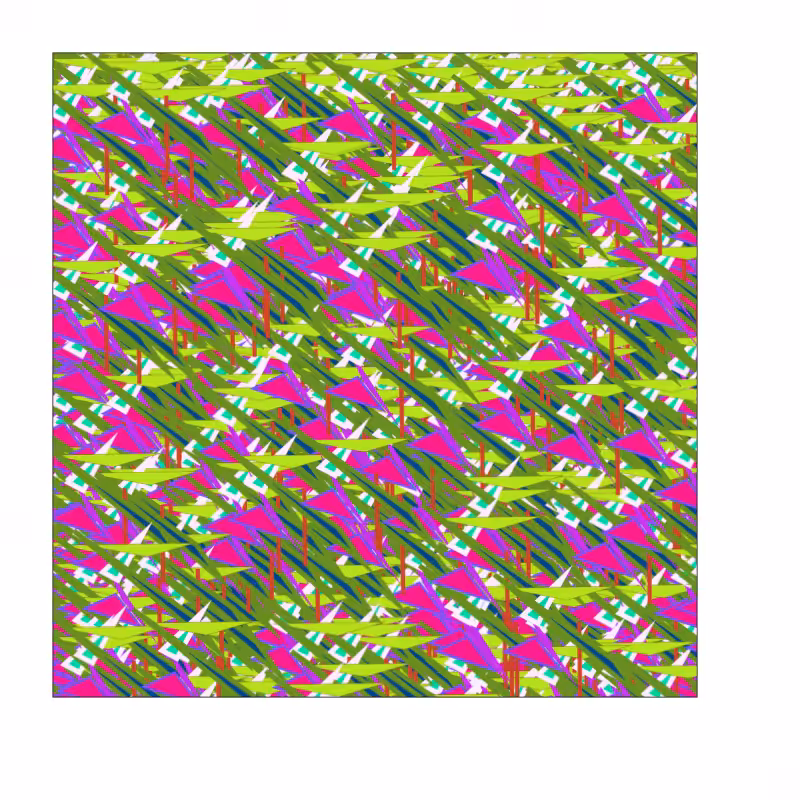 Wild Matrix #12