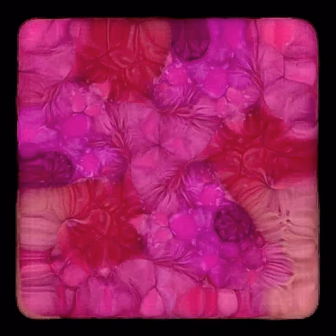 GENERATIVE BUBBLES #13