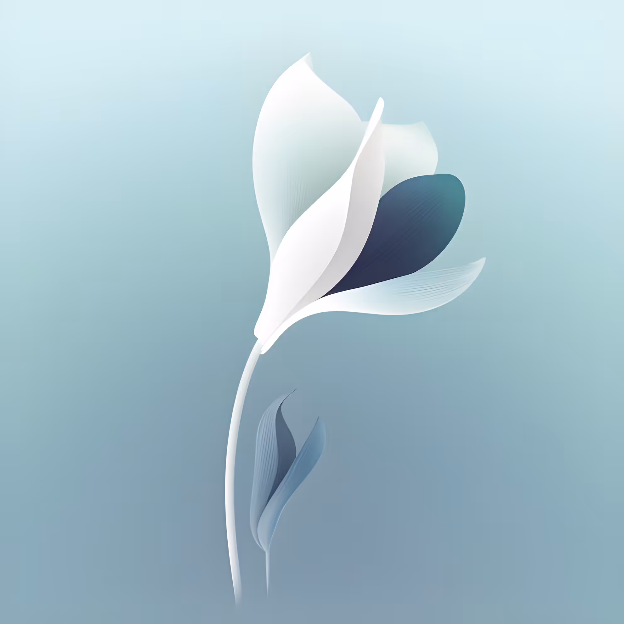 Crocus Flower