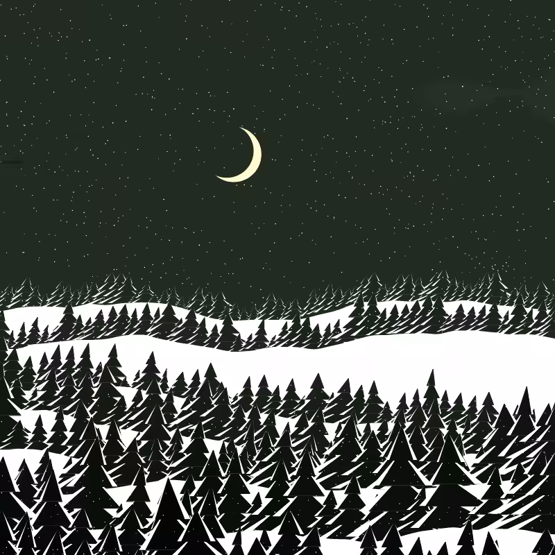 Winterland #111