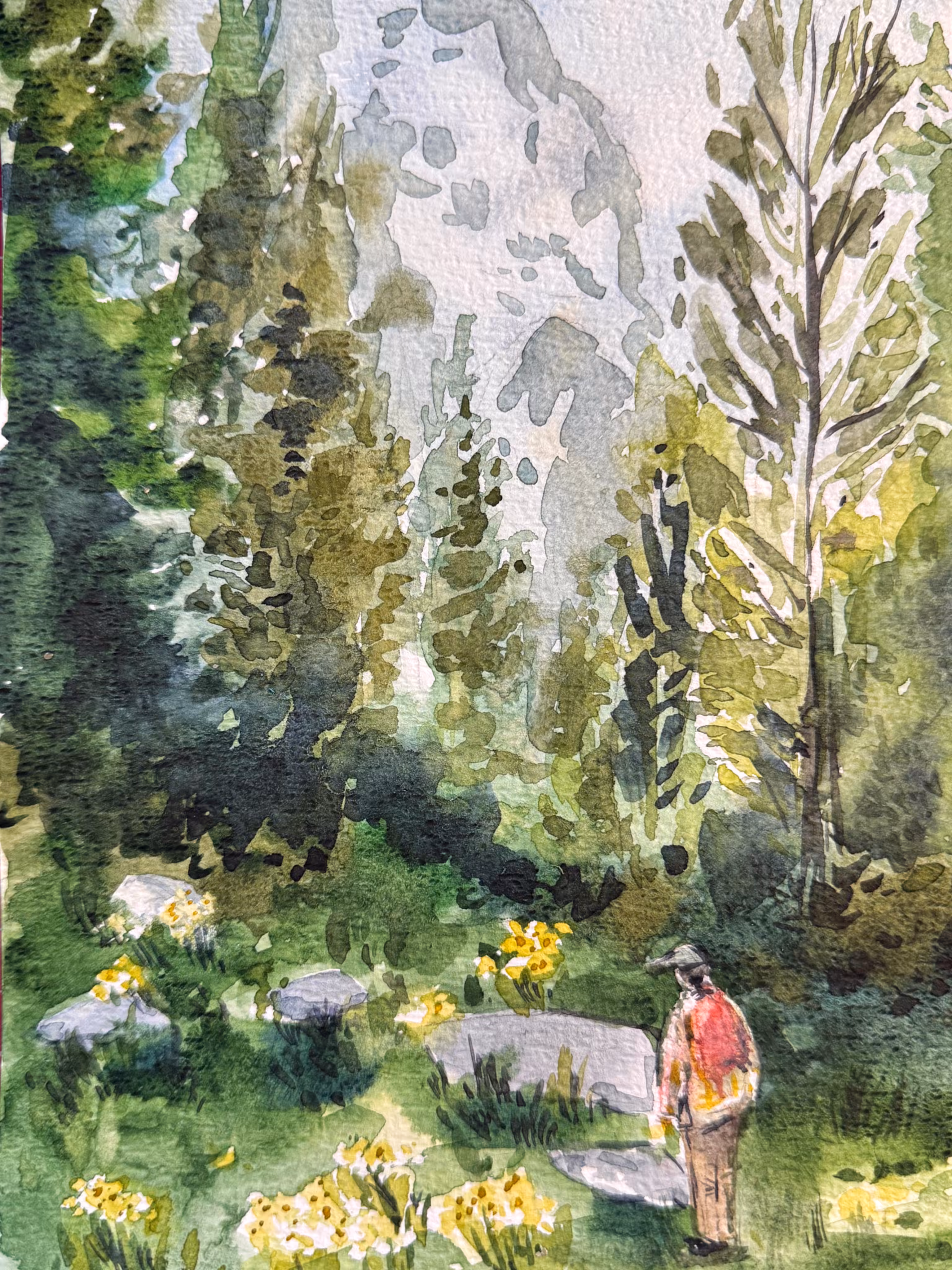 Walk in the forest