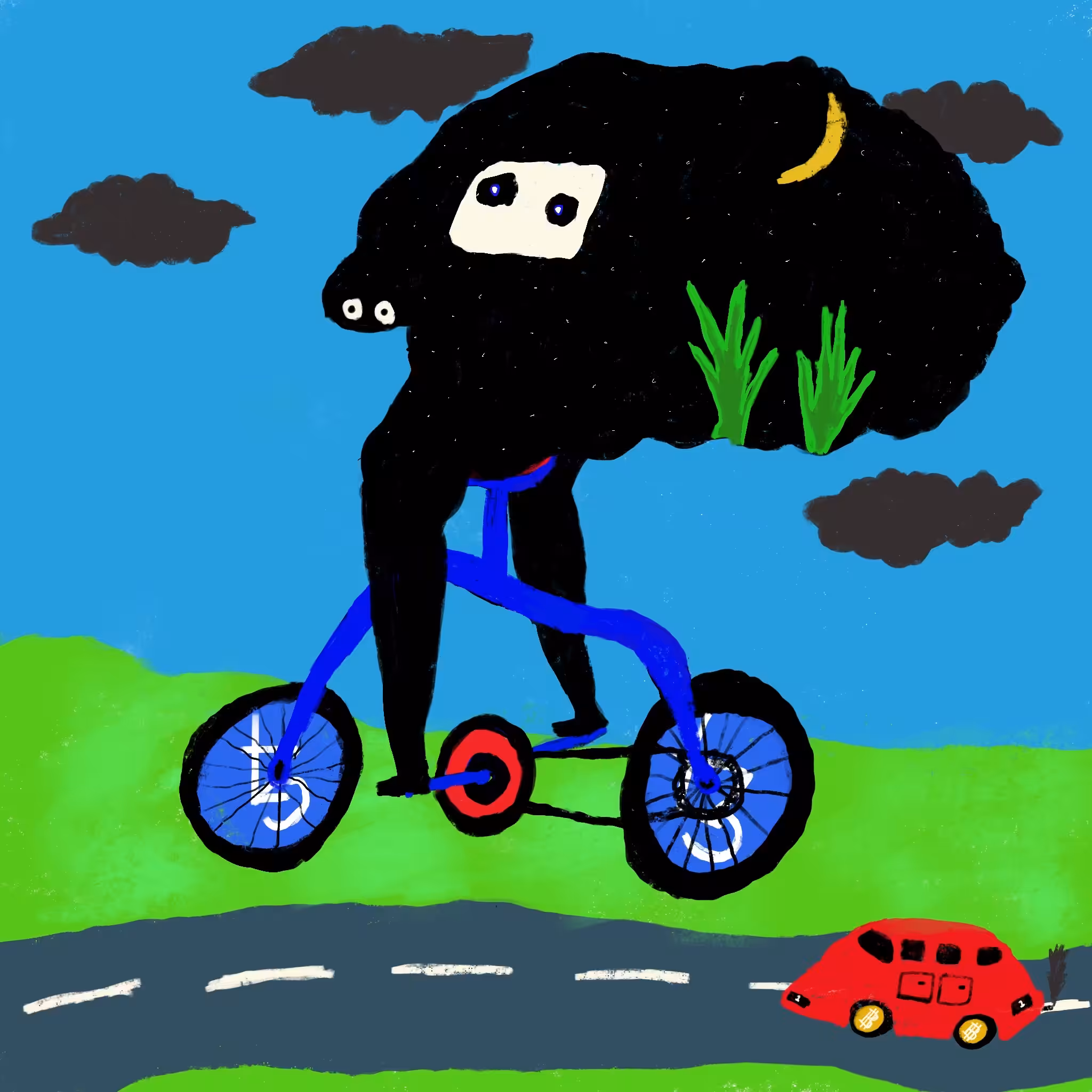 Wild racing